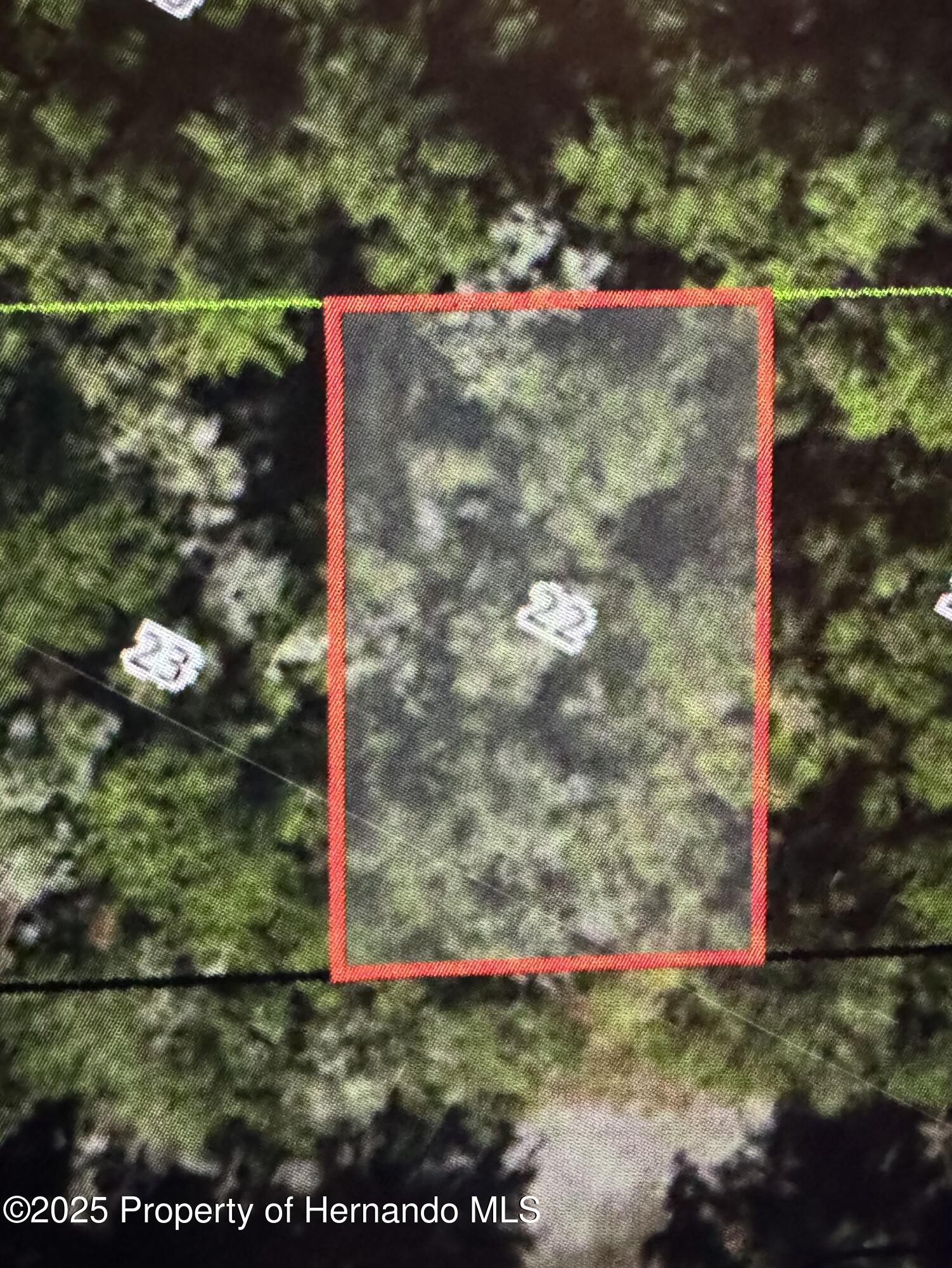 455 E Avondale Drive, Dunnellon, Florida image 6