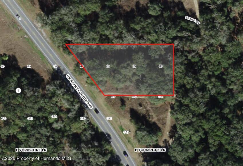 994 E Keighley Lane, Holder, Florida image 2