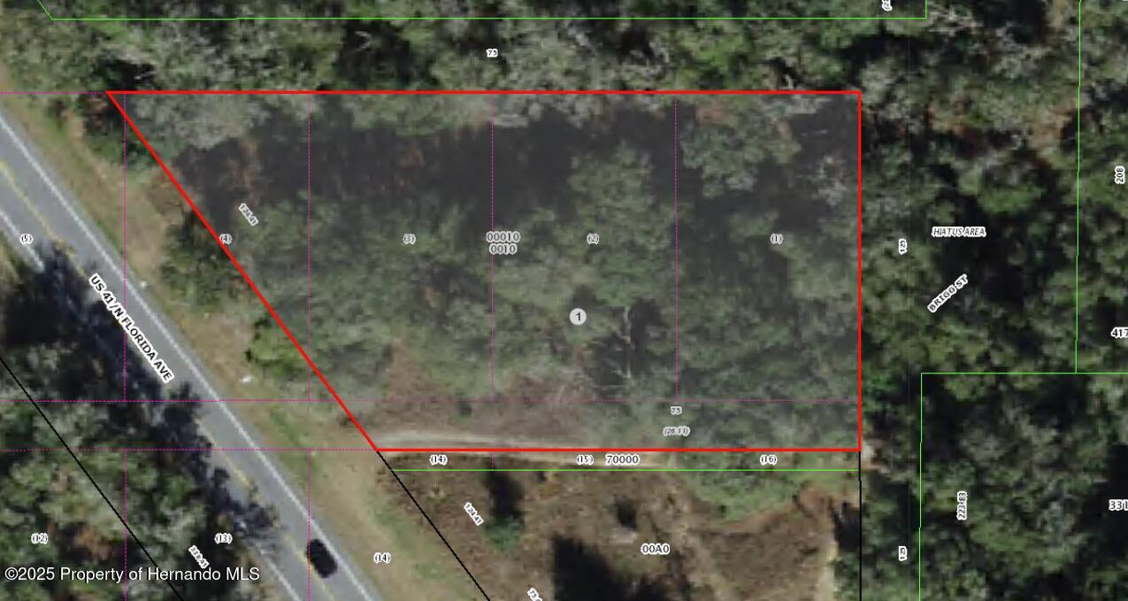 994 E Keighley Lane, Holder, Florida image 3