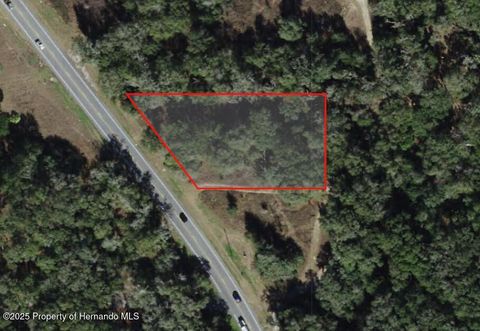 Vacant Land For Sale - 994 E Keighley Lane<br/> Citrus County, Holder, FL 34445