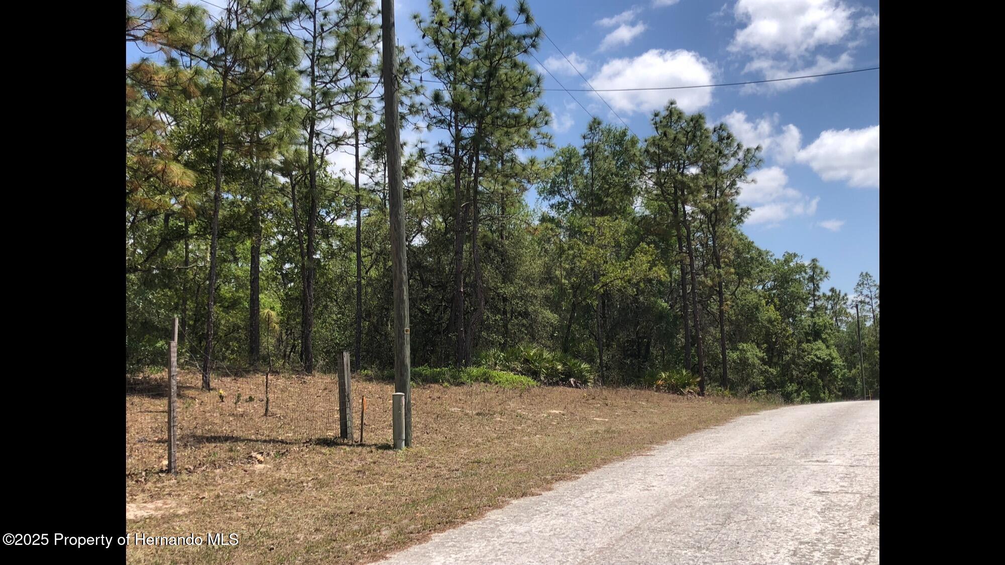 Lot 13 Colonel Avenue, Webster, Florida image 3