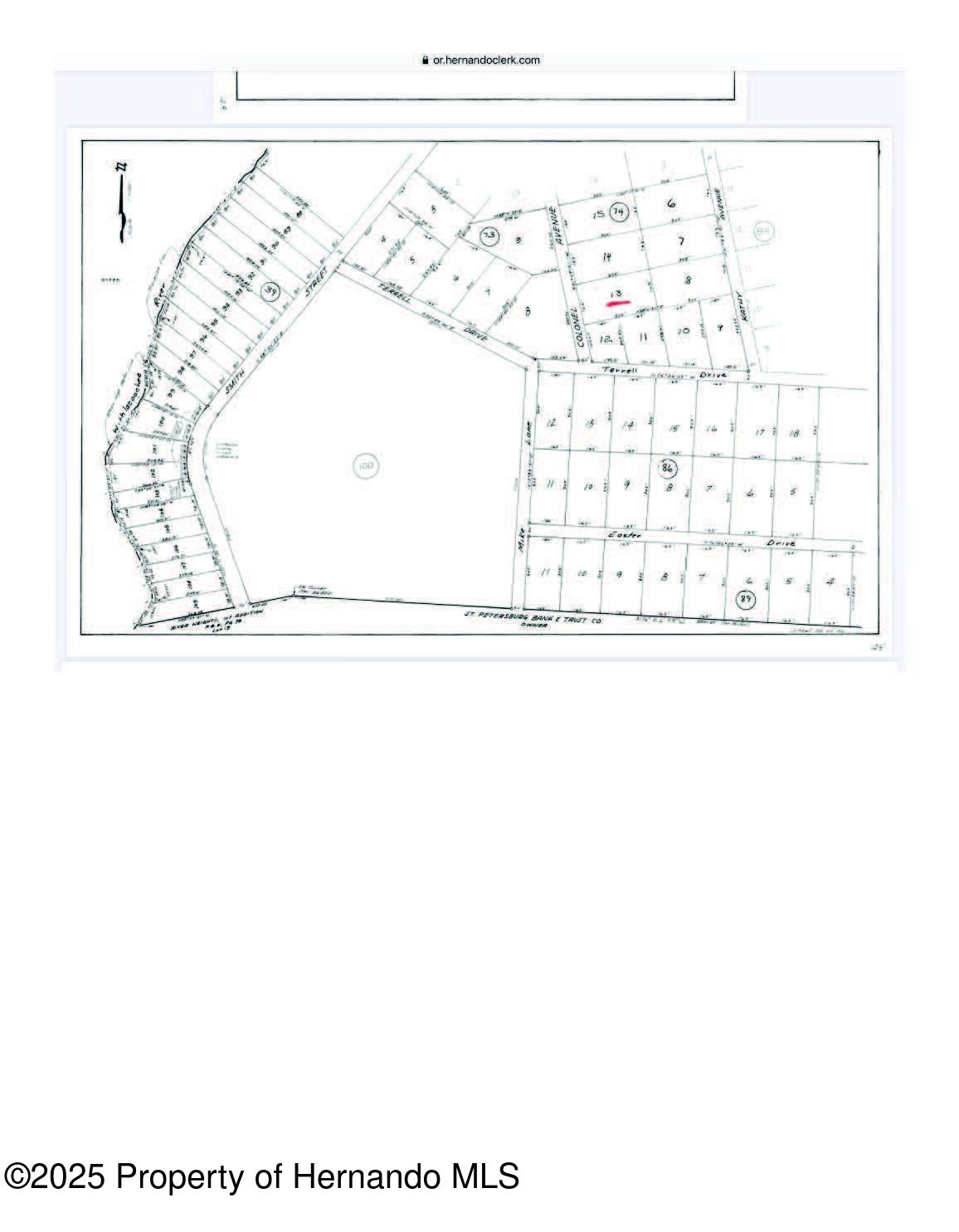 Lot 13 Colonel Avenue, Webster, Florida image 8
