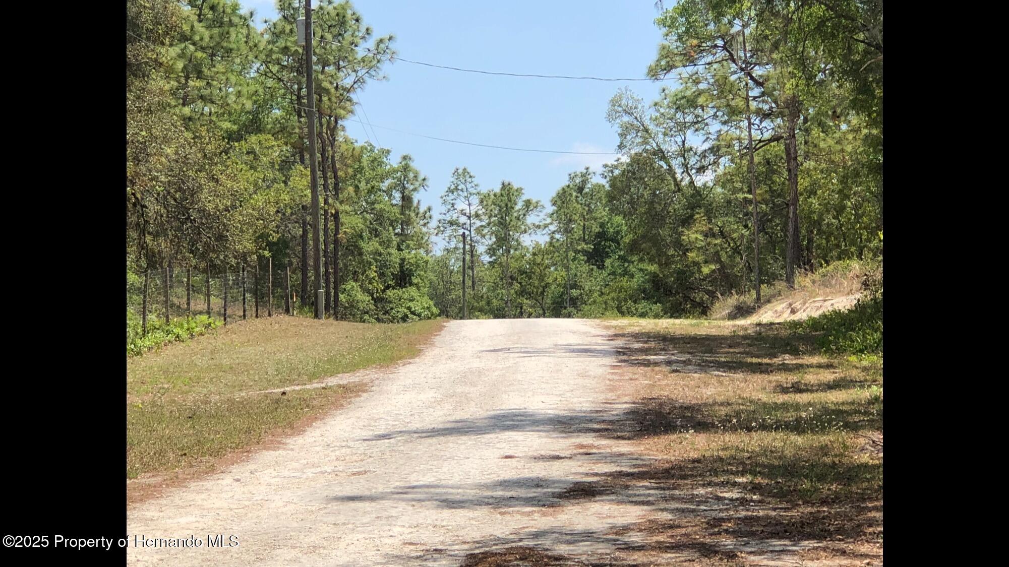 Lot 13 Colonel Avenue, Webster, Florida image 2