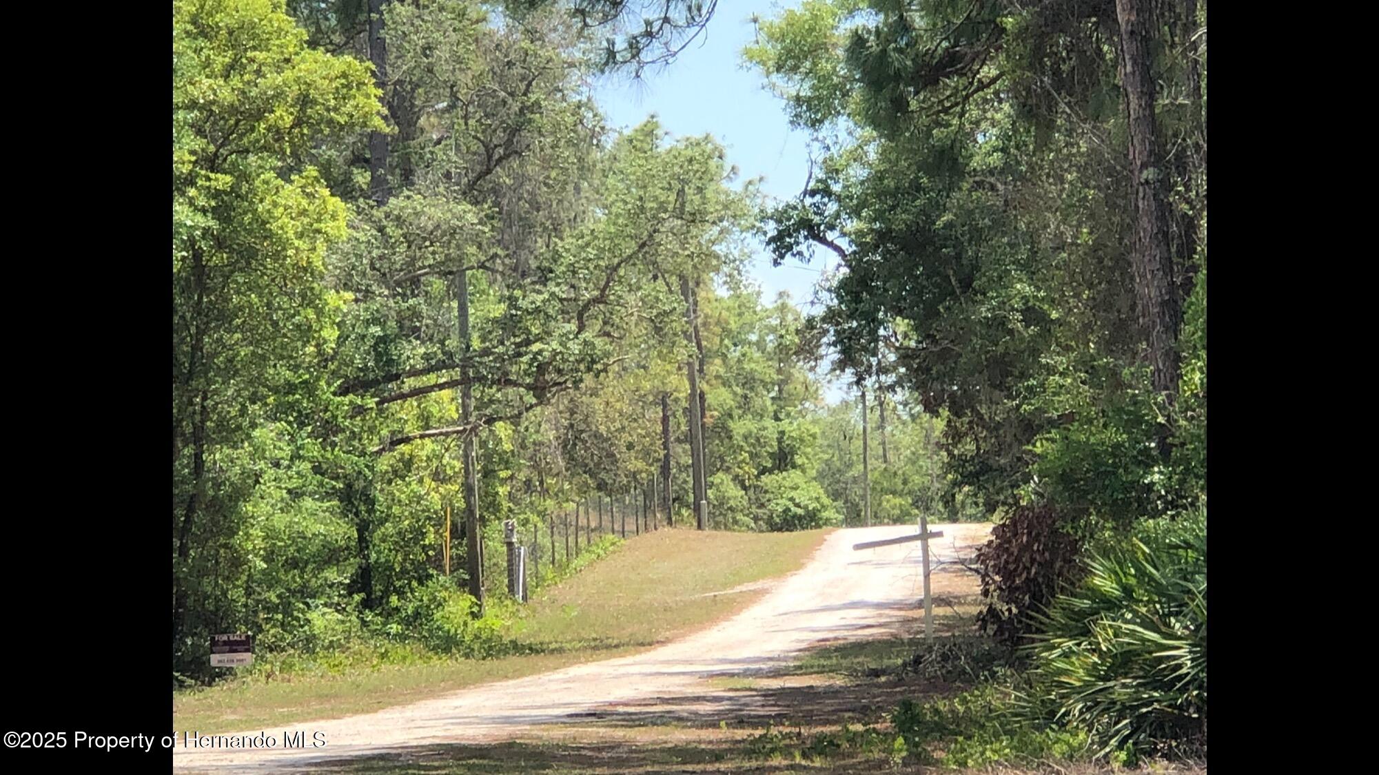 Lot 13 Colonel Avenue, Webster, Florida image 1