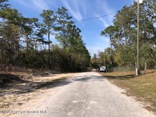 Lot 13 Colonel Avenue, Webster, Florida image 5