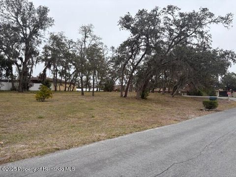 Vacant Land For Sale - Tyler Avenue<br/> Spring Hill, FL 34606