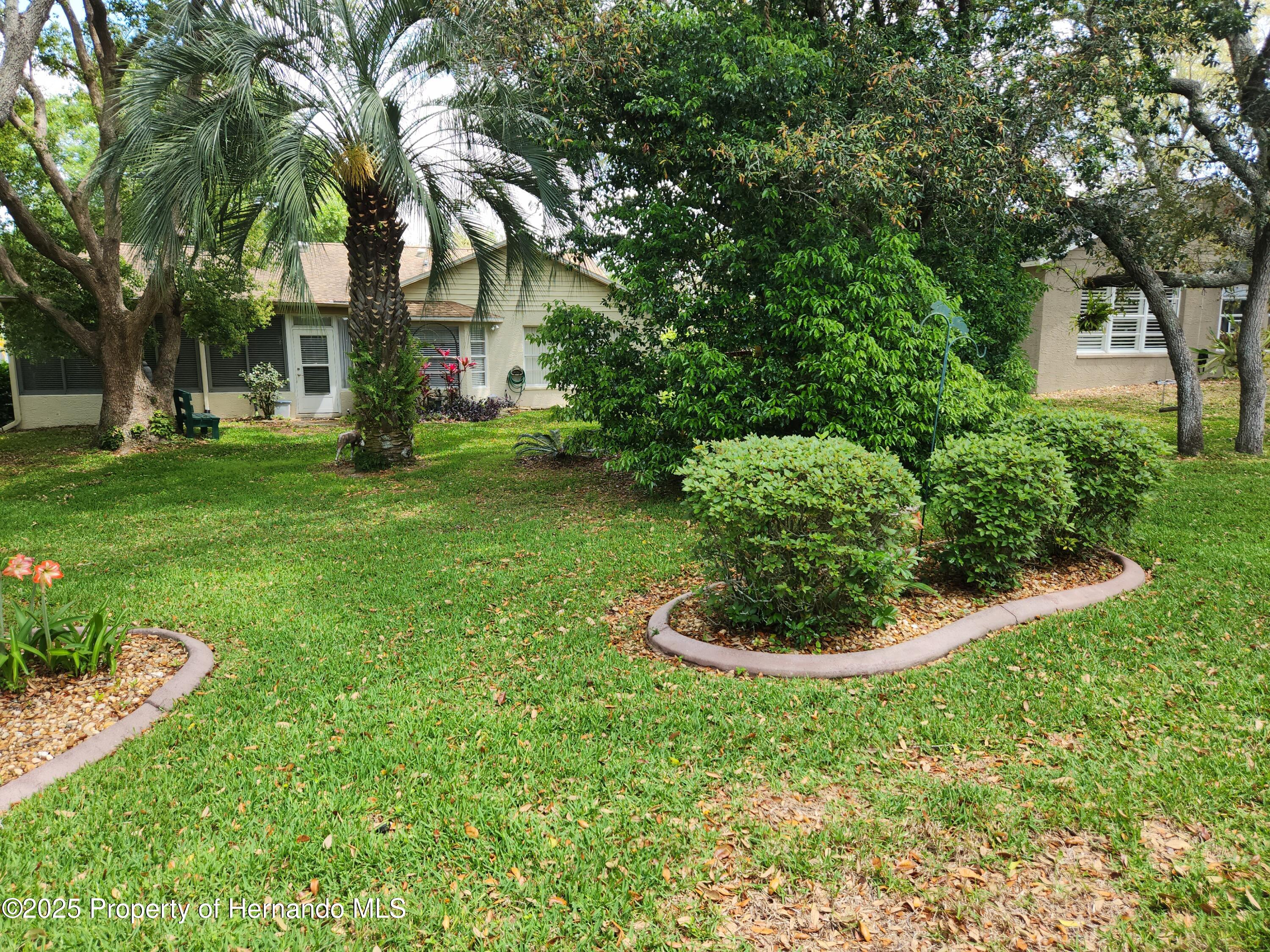 3118 Windrush Court, Spring Hill, Florida image 24