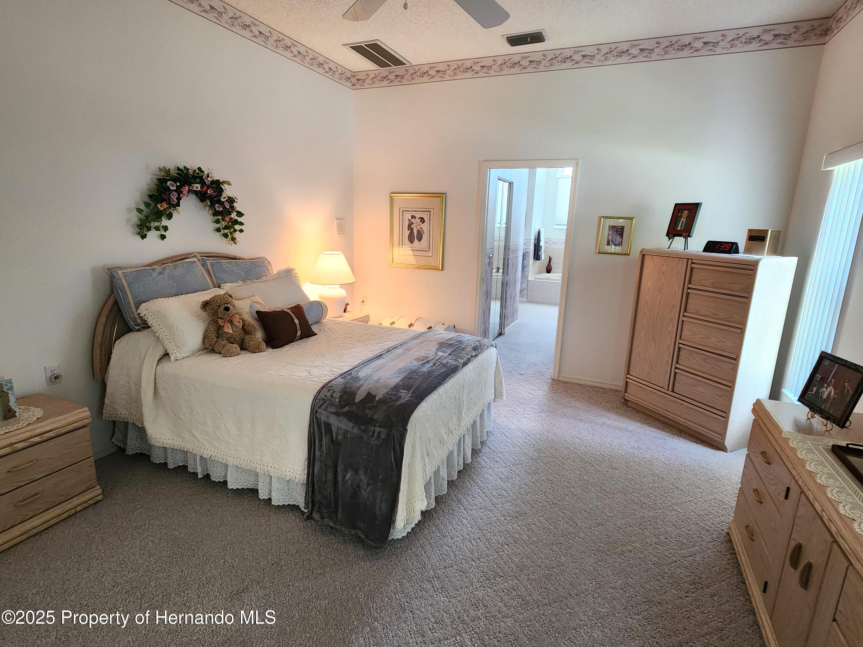 3118 Windrush Court, Spring Hill, Florida image 12