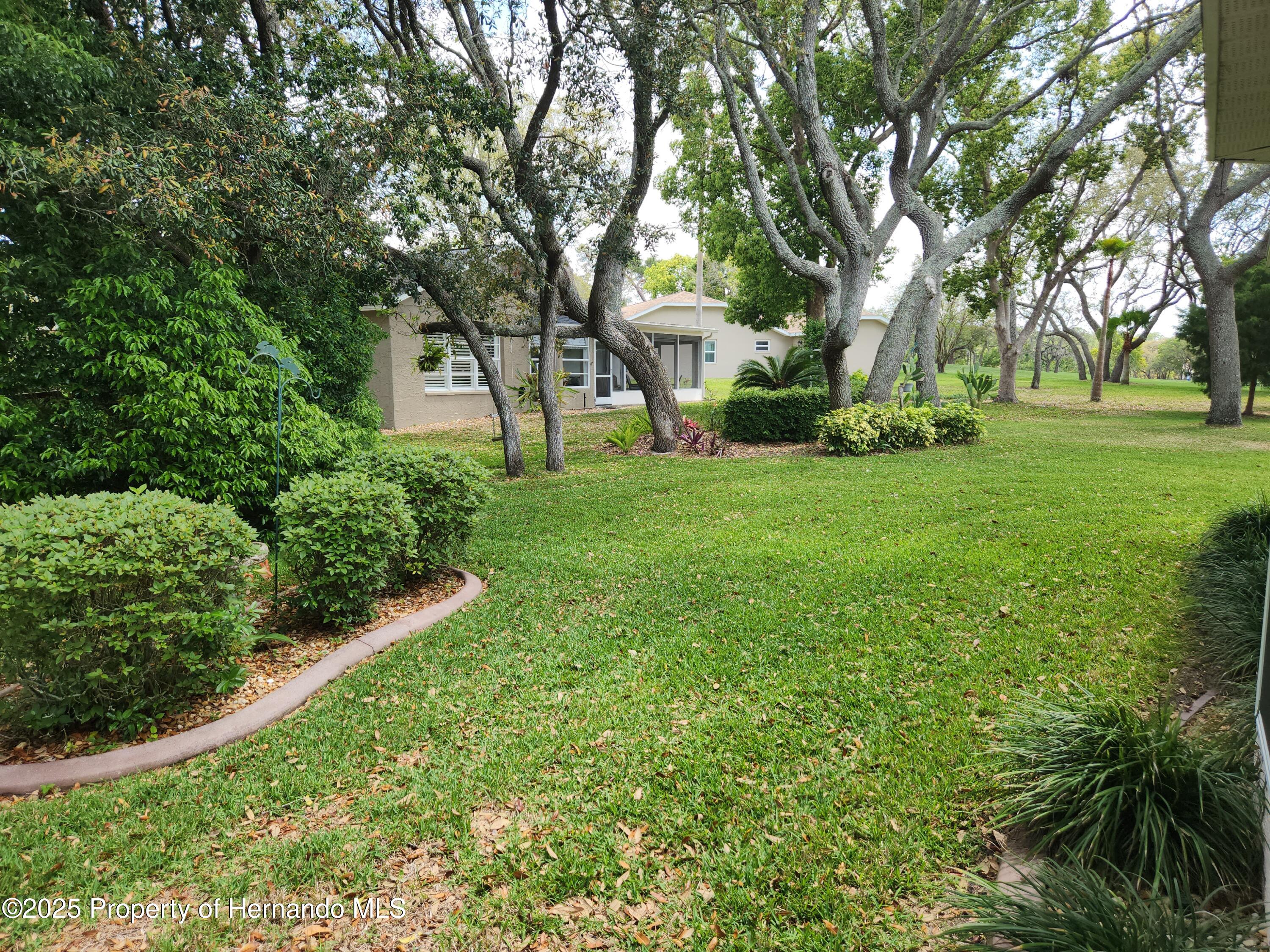 3118 Windrush Court, Spring Hill, Florida image 23