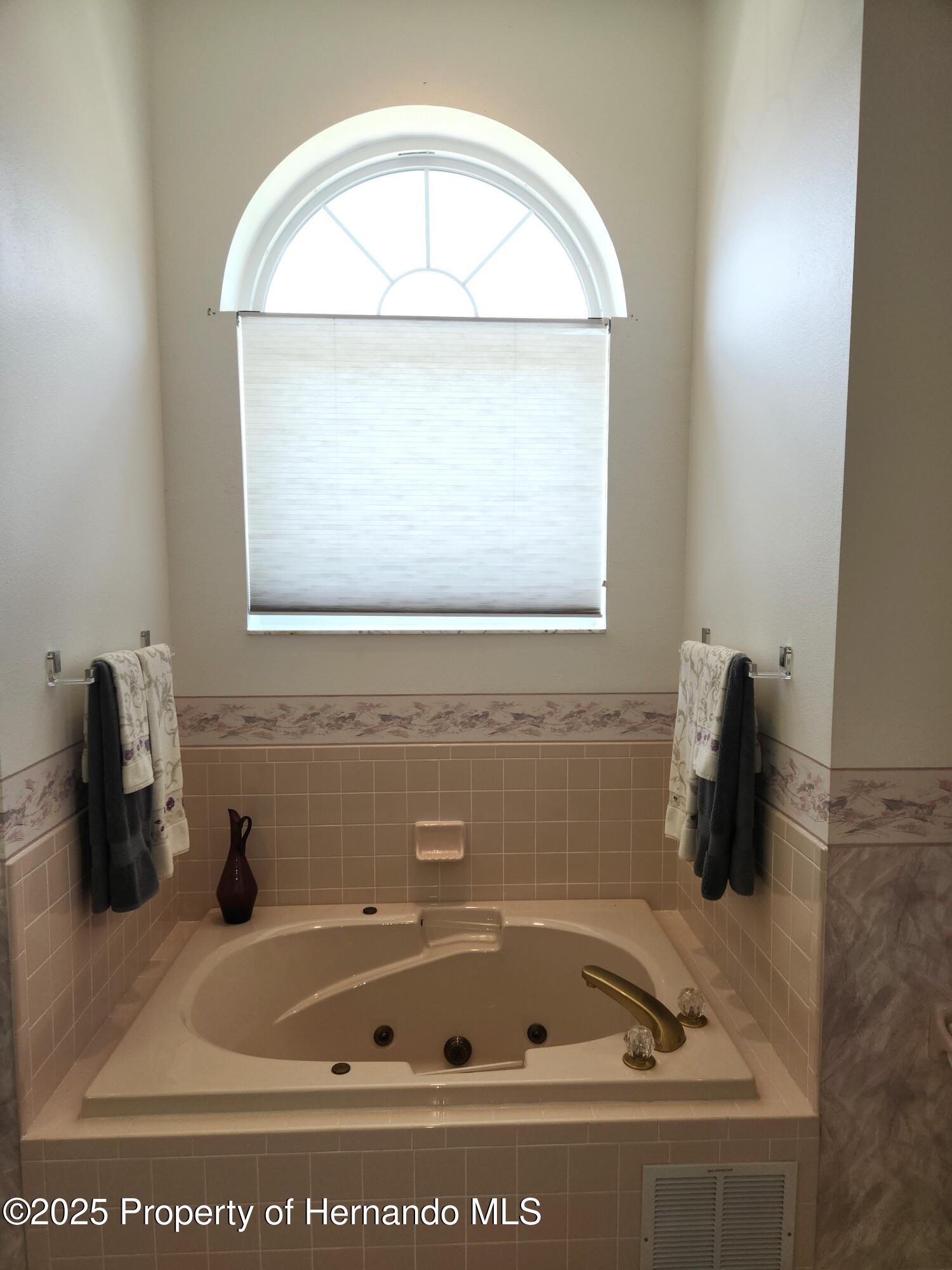 3118 Windrush Court, Spring Hill, Florida image 13