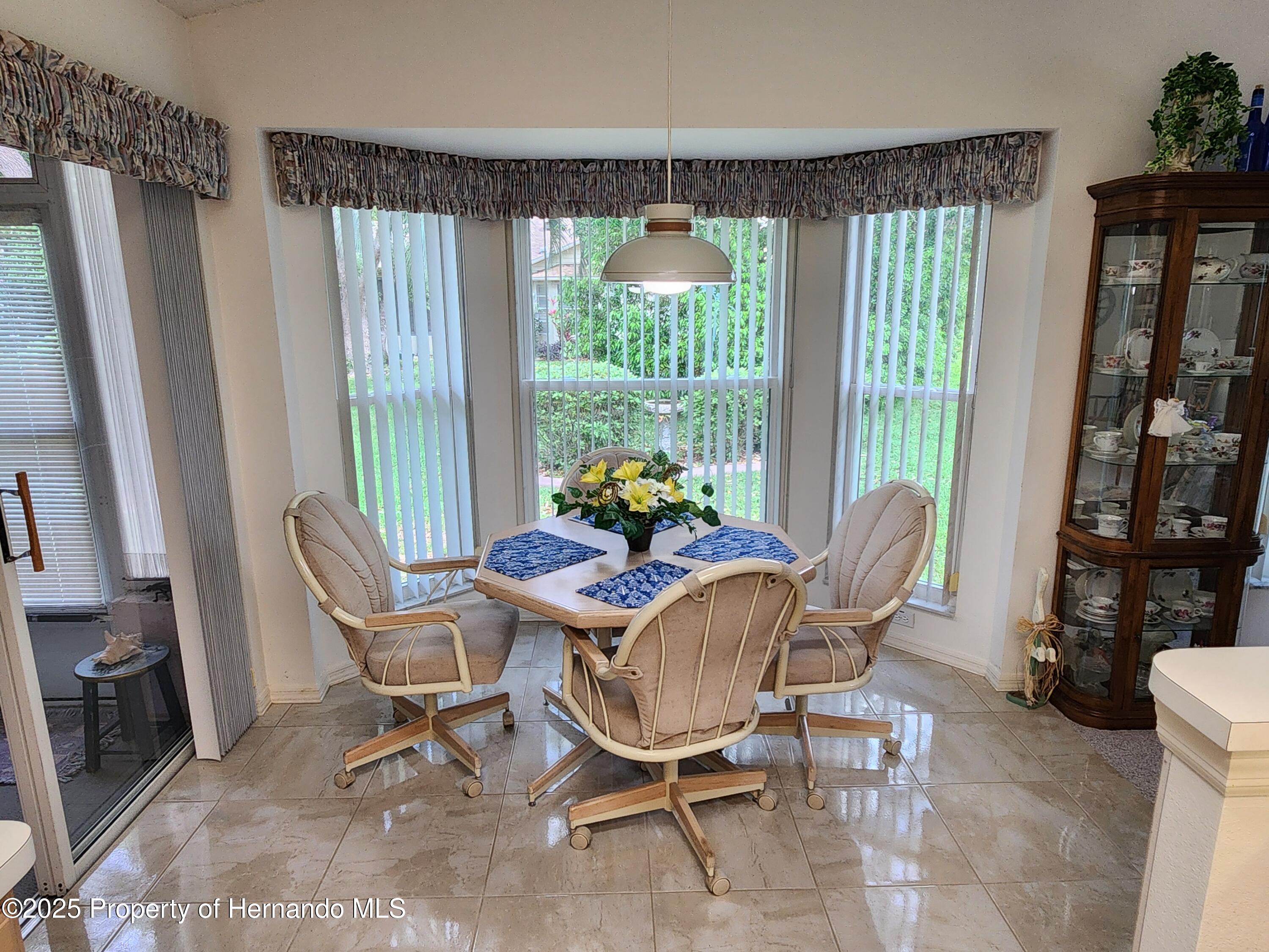 3118 Windrush Court, Spring Hill, Florida image 10