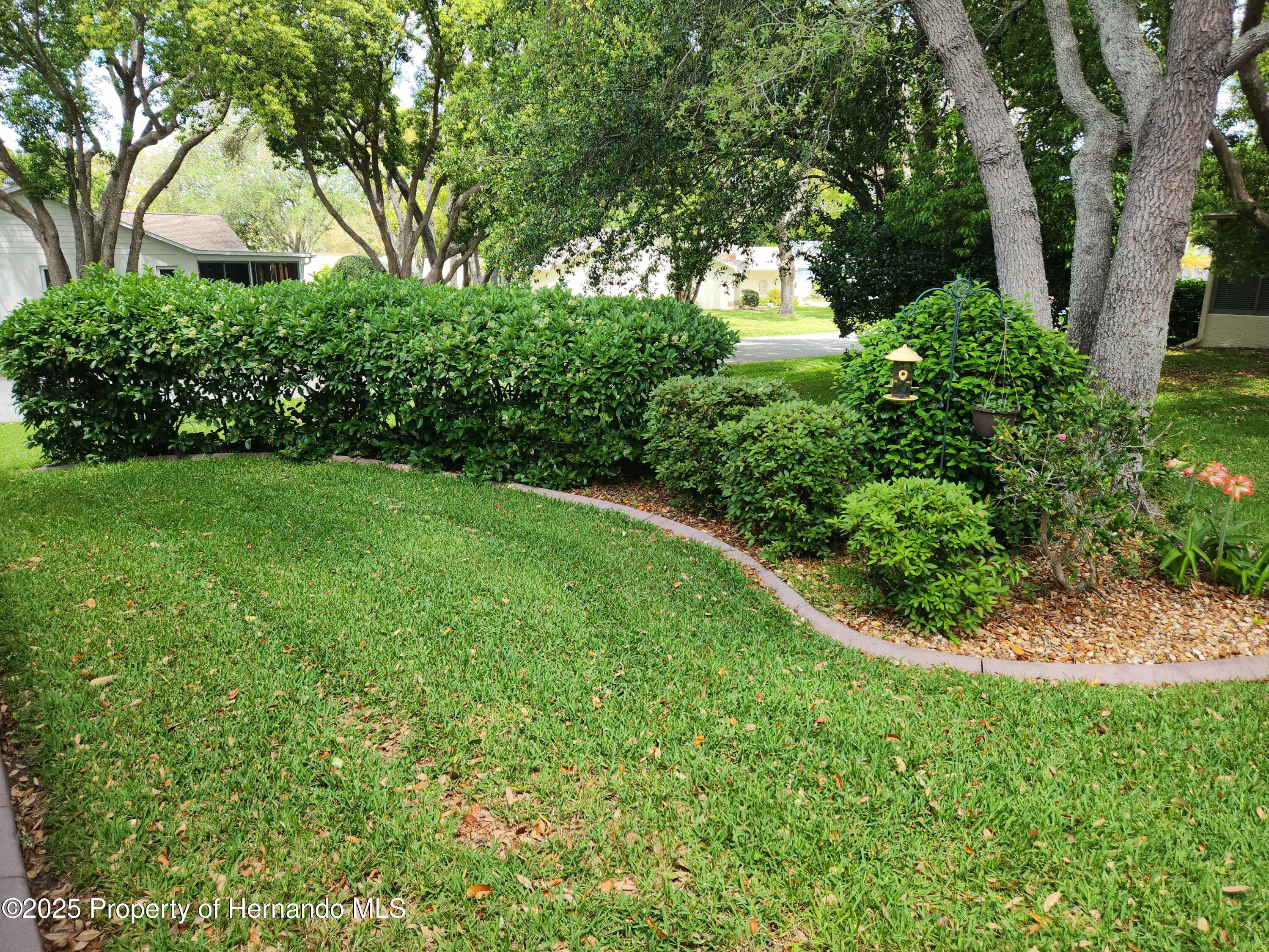 3118 Windrush Court, Spring Hill, Florida image 25