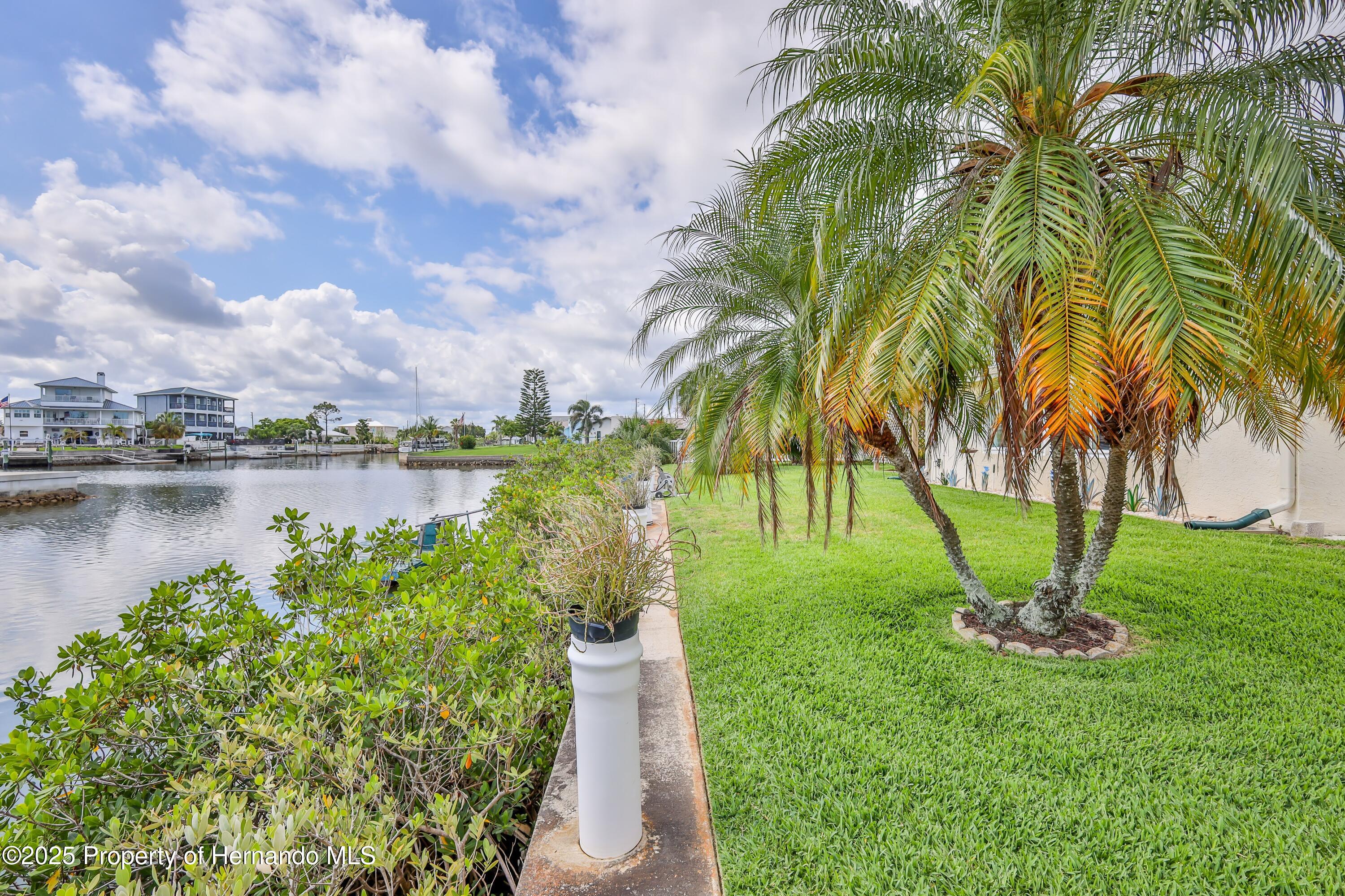 4446 San Juan Drive, HERNANDO BEACH, Florida image 34