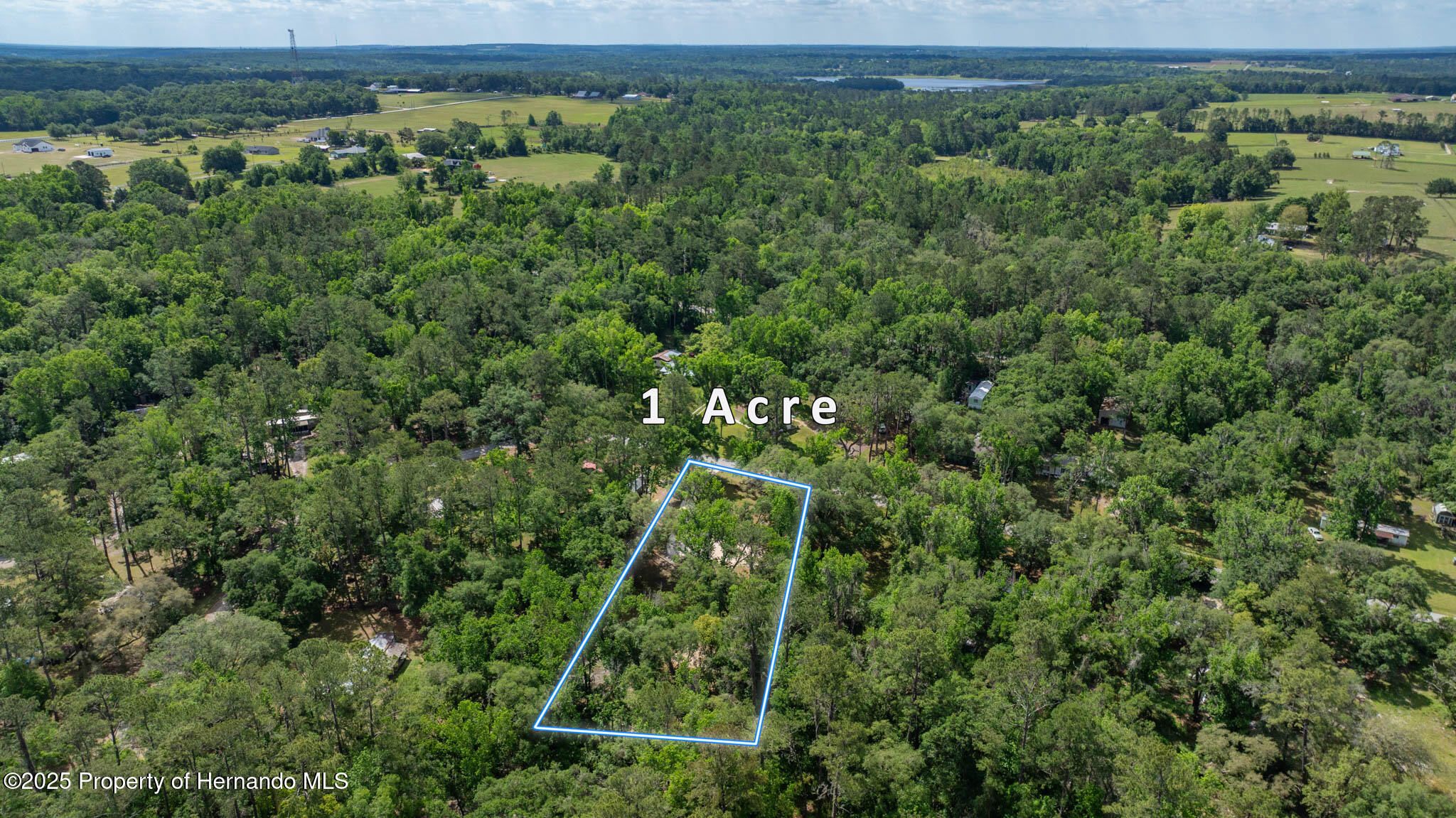 . Casey Road, Brooksville, Florida image 6