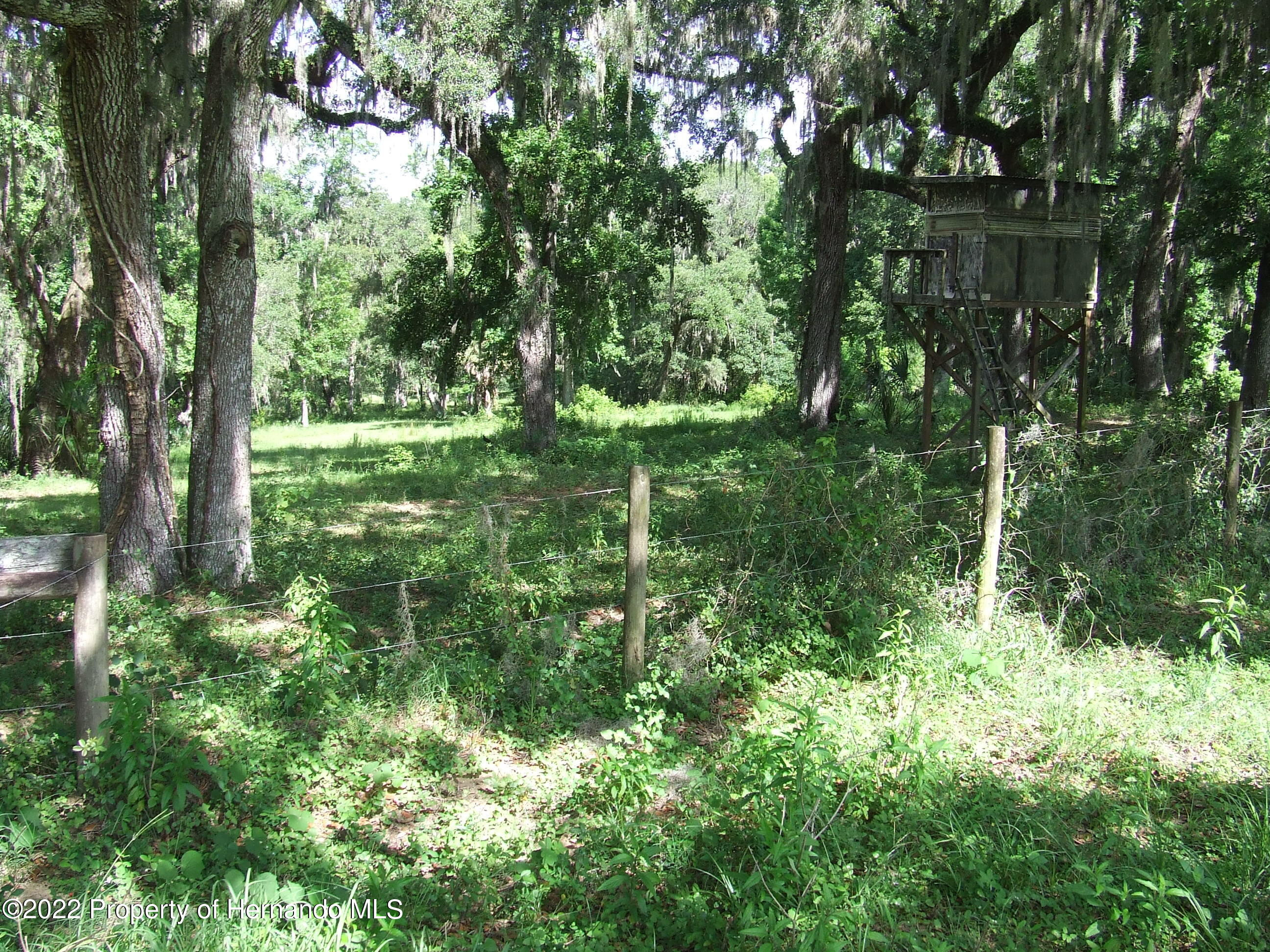 23183 Powell Road, Brooksville, Florida image 16