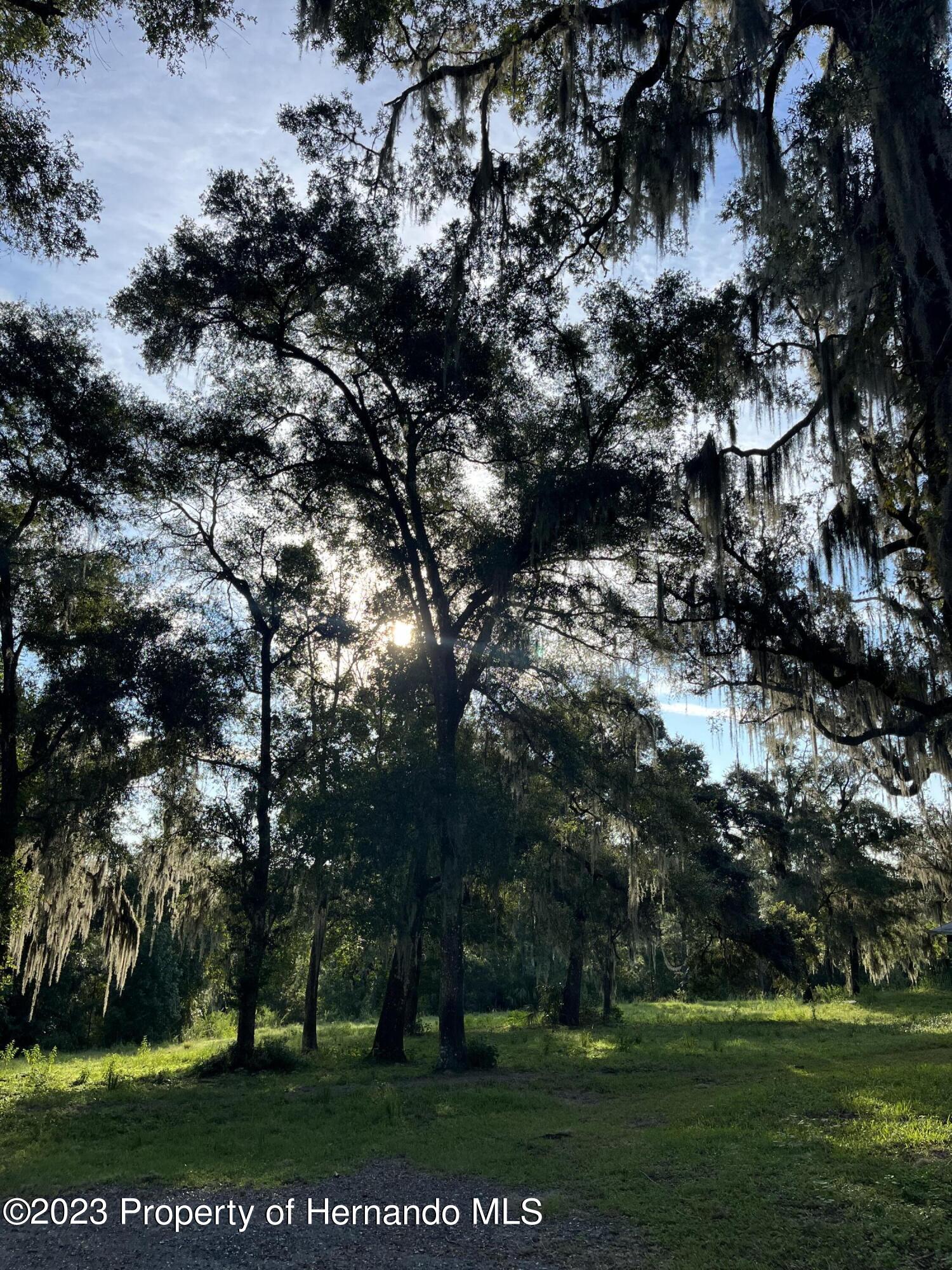 23183 Powell Road, Brooksville, Florida image 35