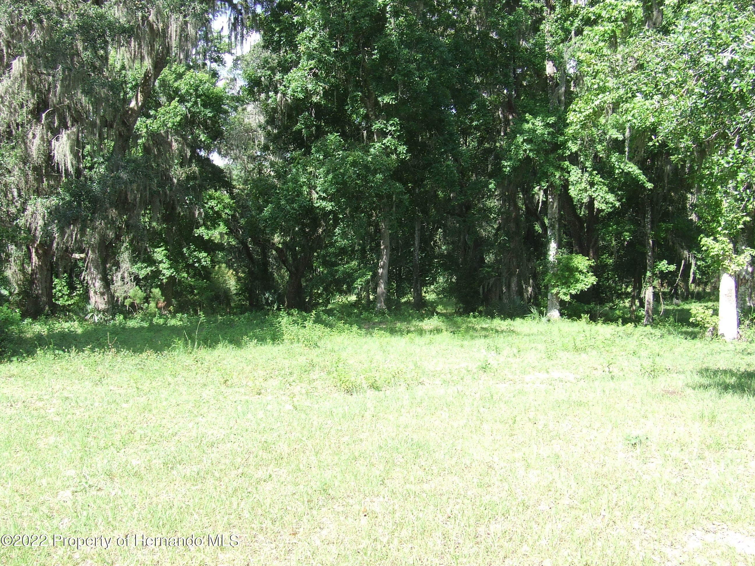23183 Powell Road, Brooksville, Florida image 15