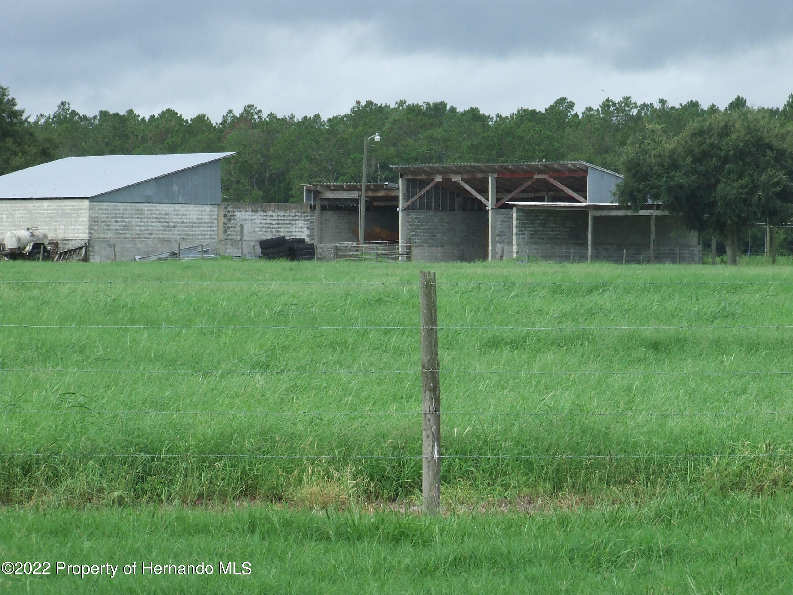 23183 Powell Road, Brooksville, Florida image 32