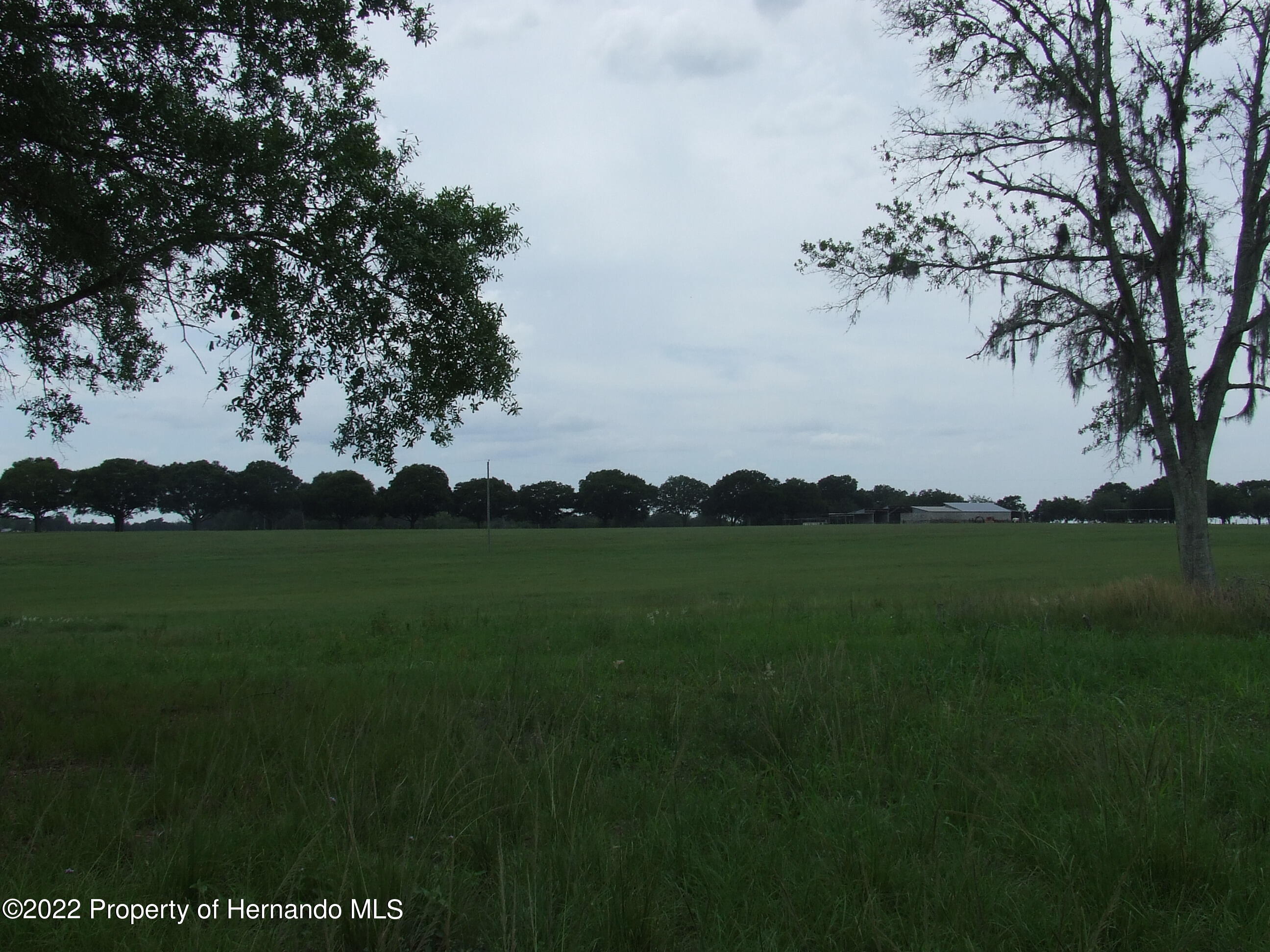 23183 Powell Road, Brooksville, Florida image 9