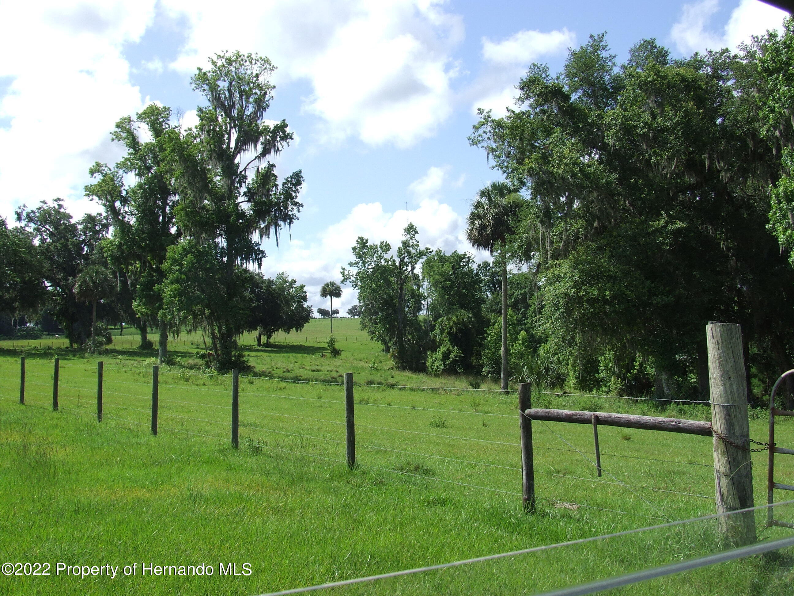 23183 Powell Road, Brooksville, Florida image 17