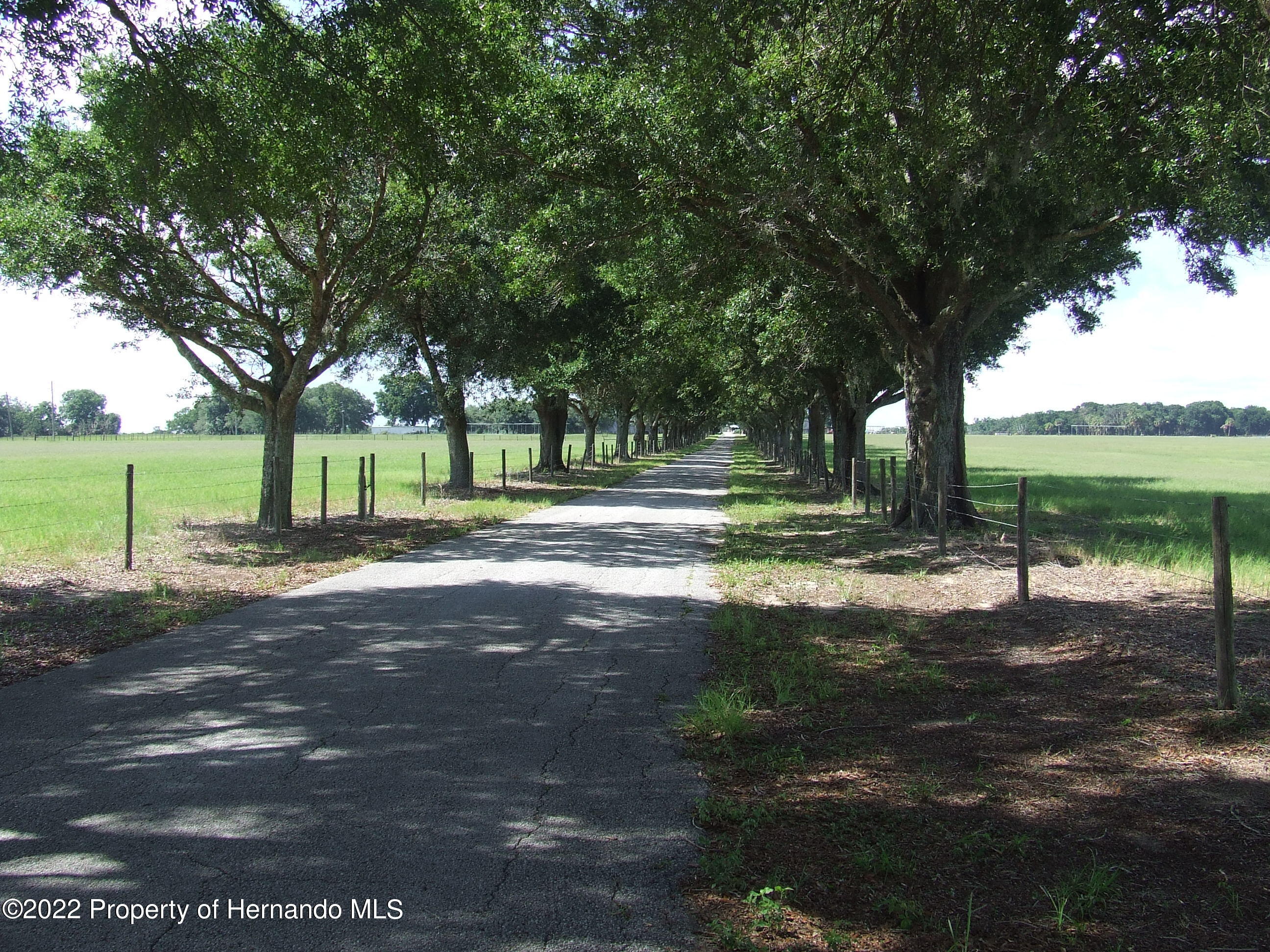 23183 Powell Road, Brooksville, Florida image 1