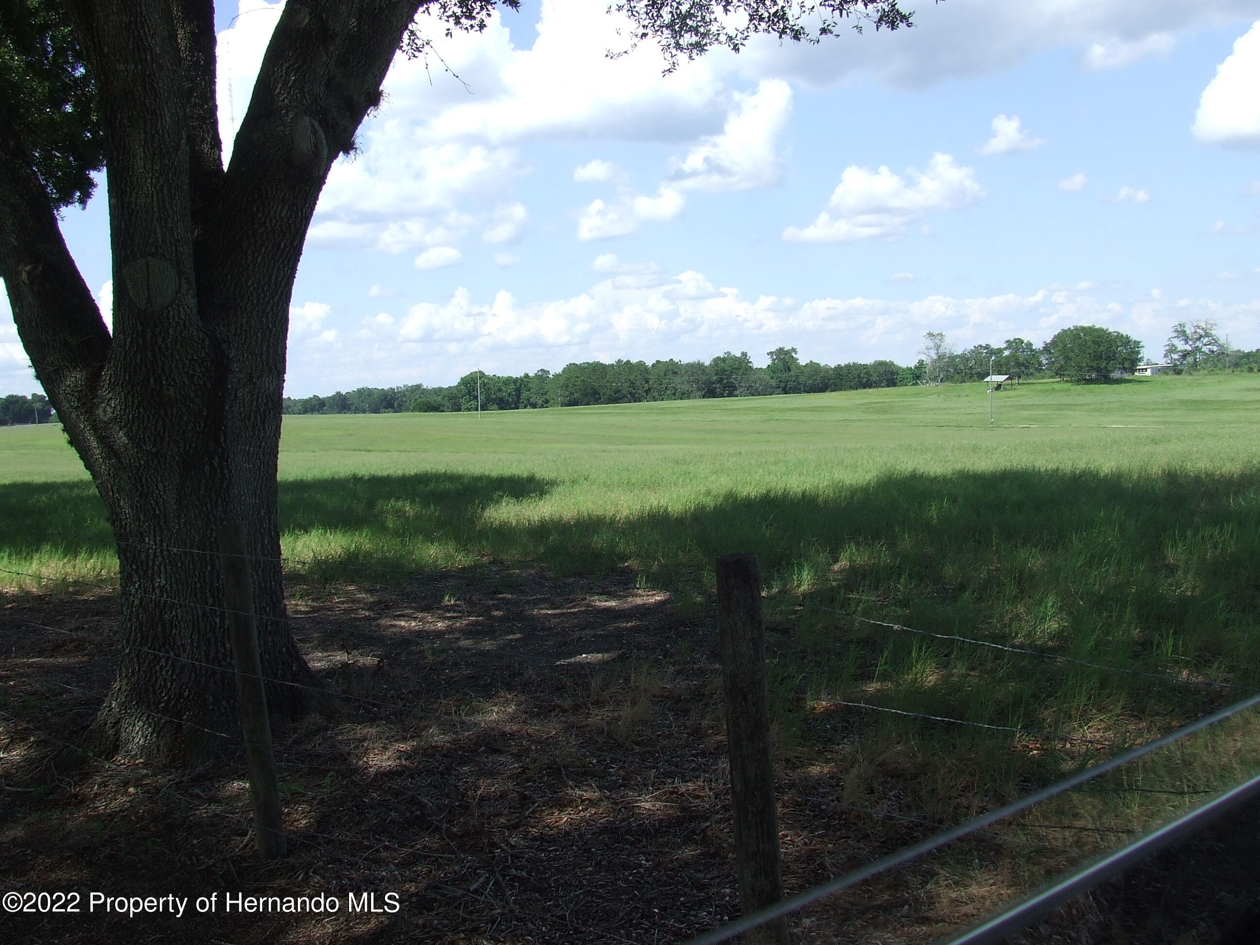 23183 Powell Road, Brooksville, Florida image 19