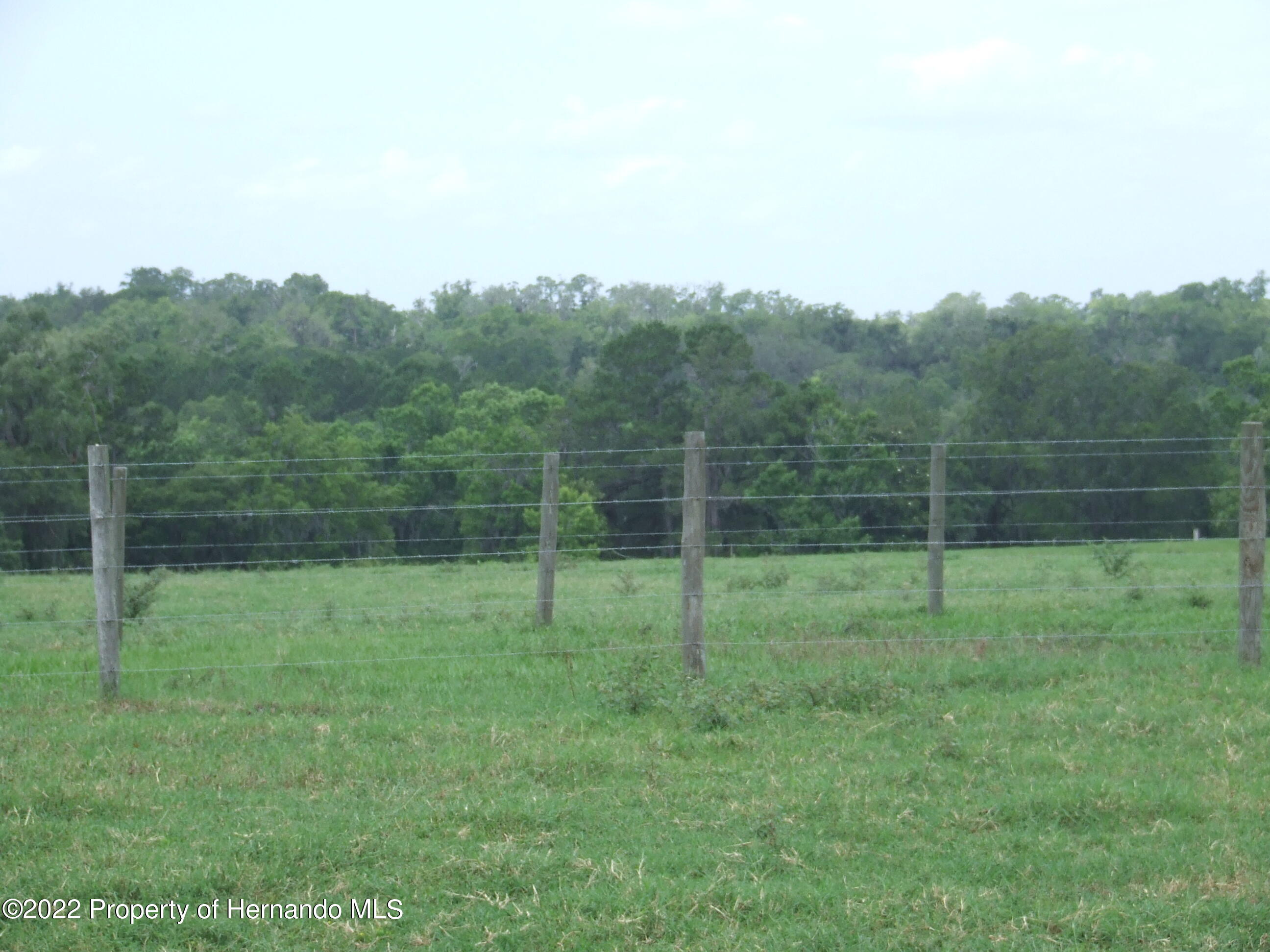 23183 Powell Road, Brooksville, Florida image 12