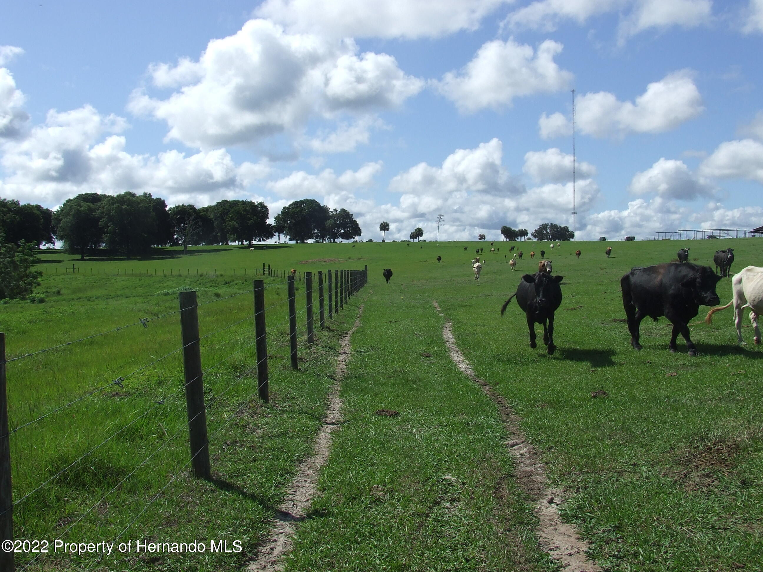23183 Powell Road, Brooksville, Florida image 14