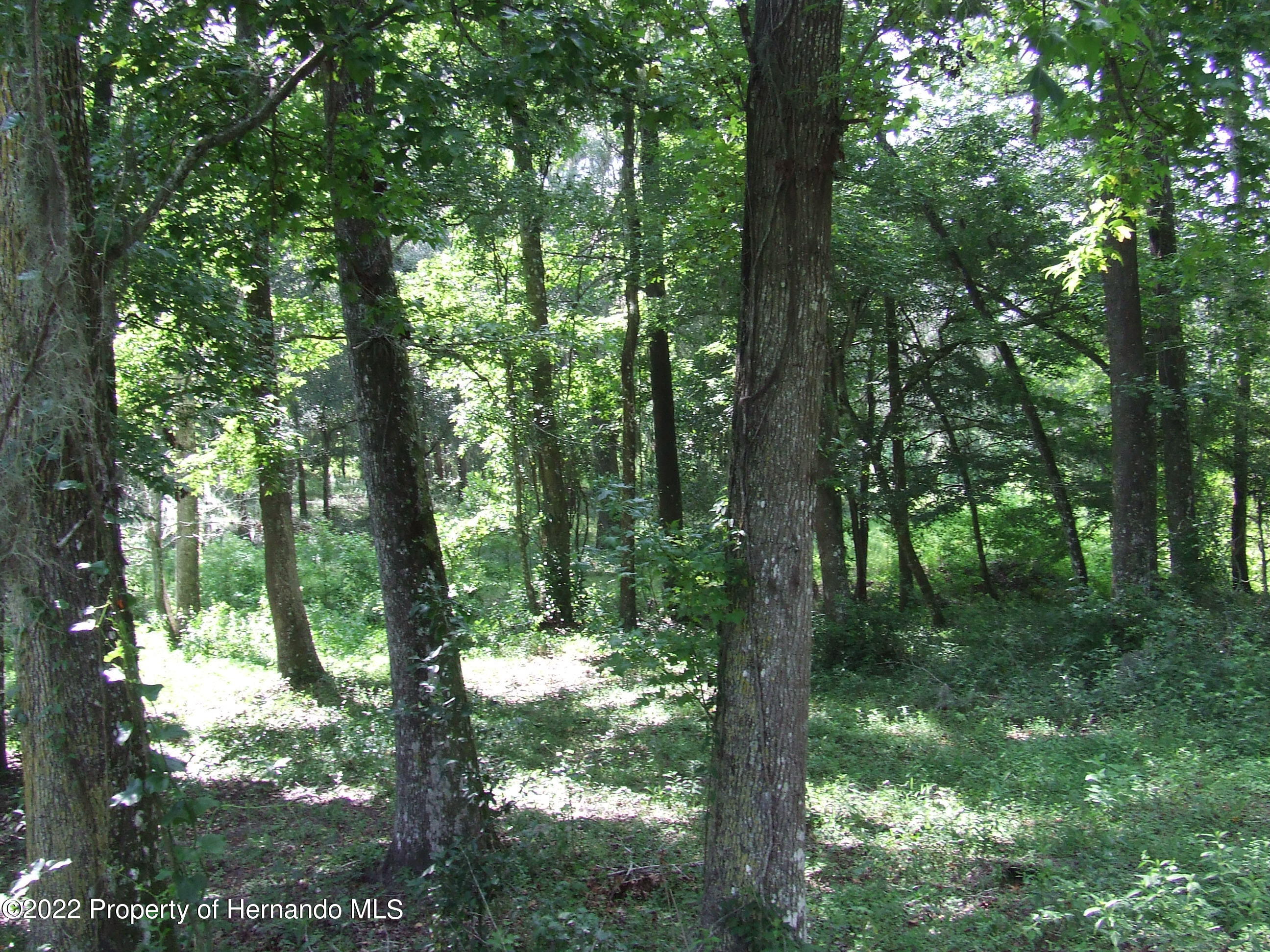 23183 Powell Road, Brooksville, Florida image 22