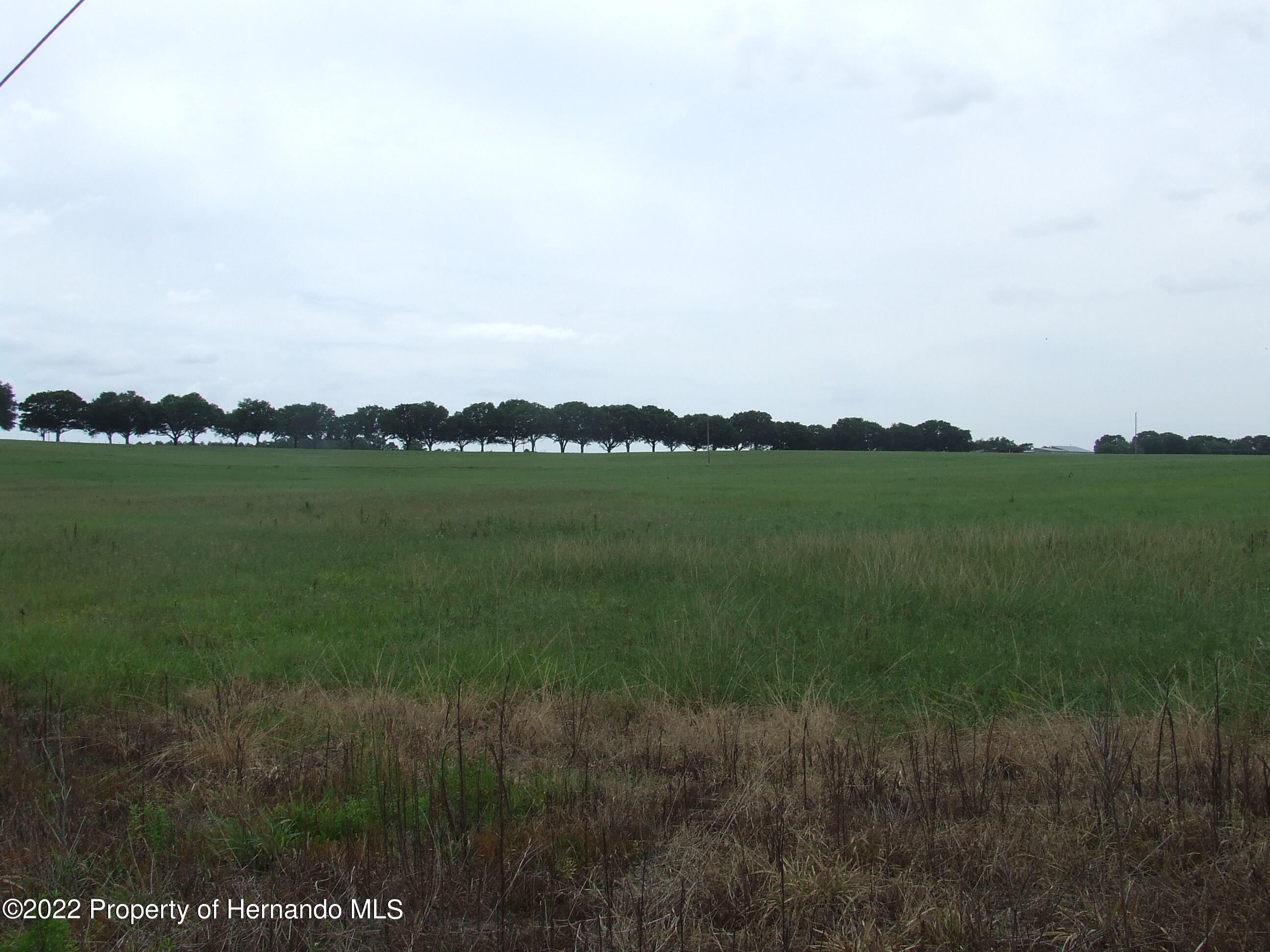 23183 Powell Road, Brooksville, Florida image 4