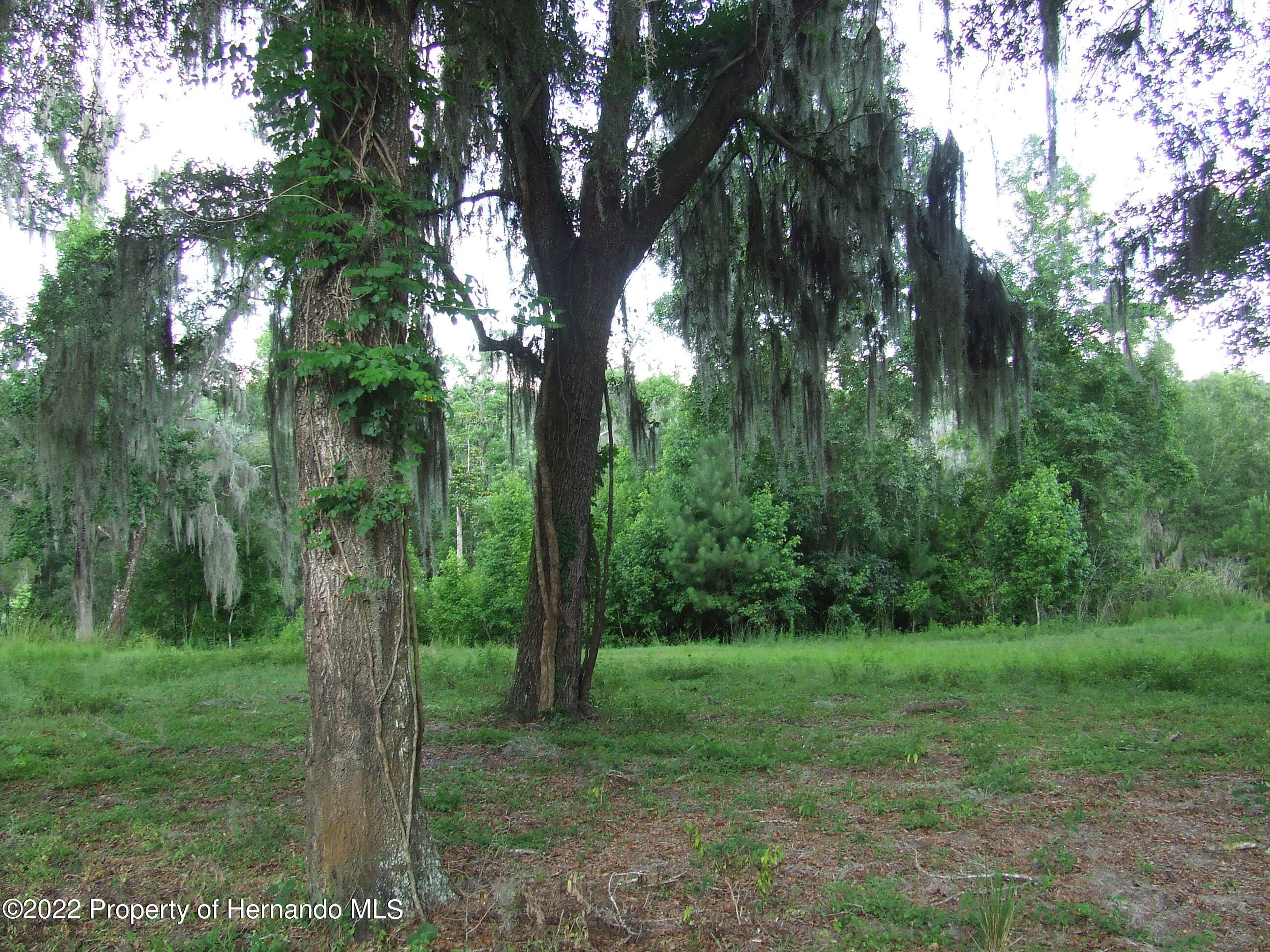 23183 Powell Road, Brooksville, Florida image 20