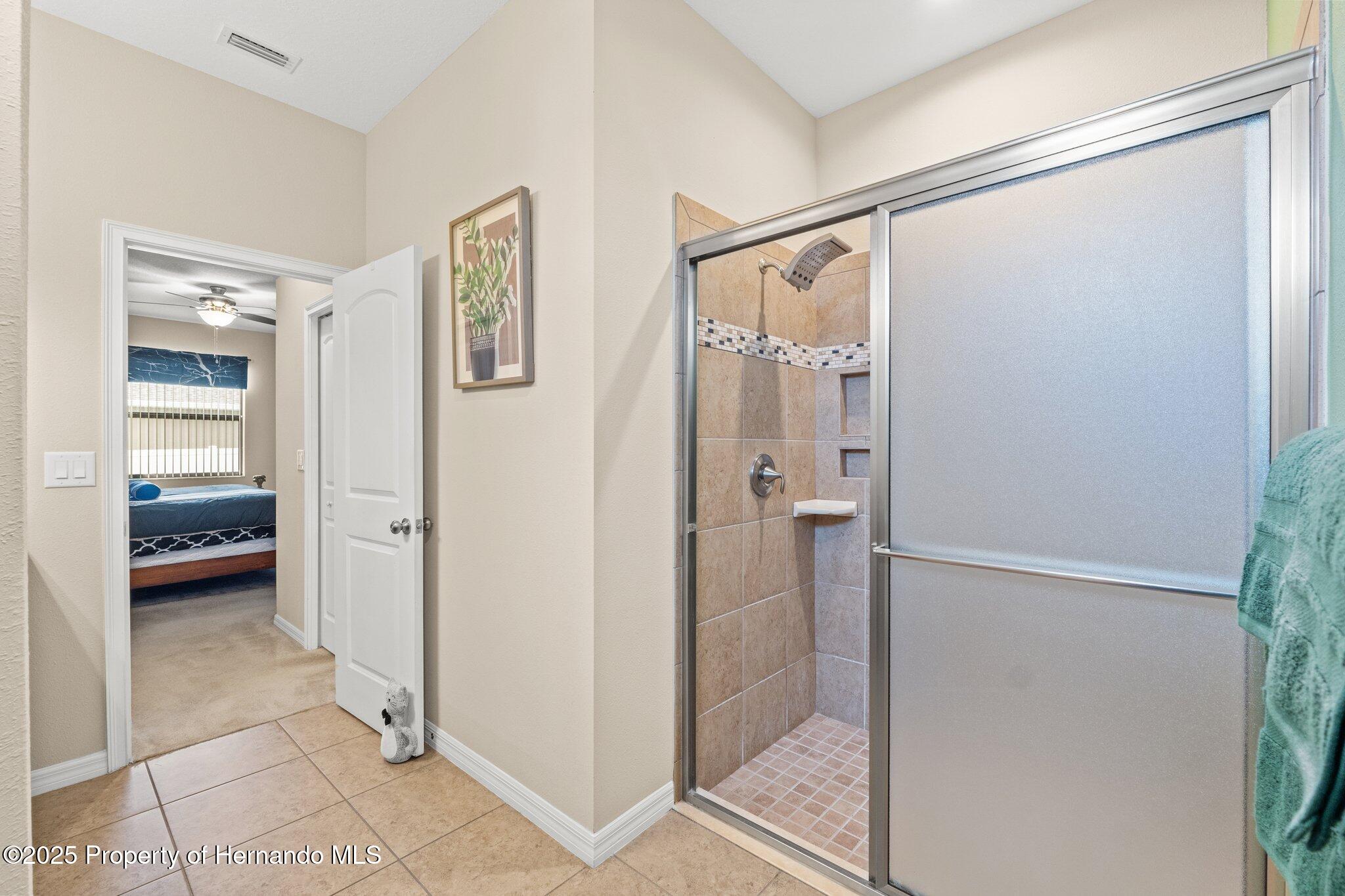 313 Old Windsor Way, Spring Hill, Florida image 29
