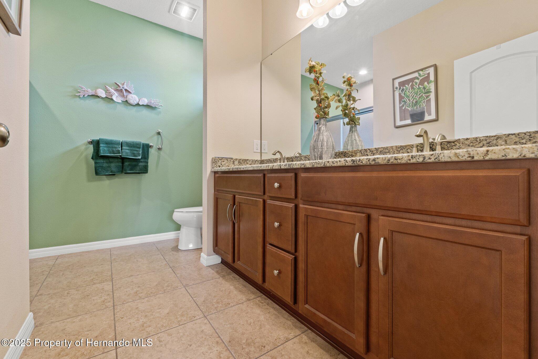 313 Old Windsor Way, Spring Hill, Florida image 28