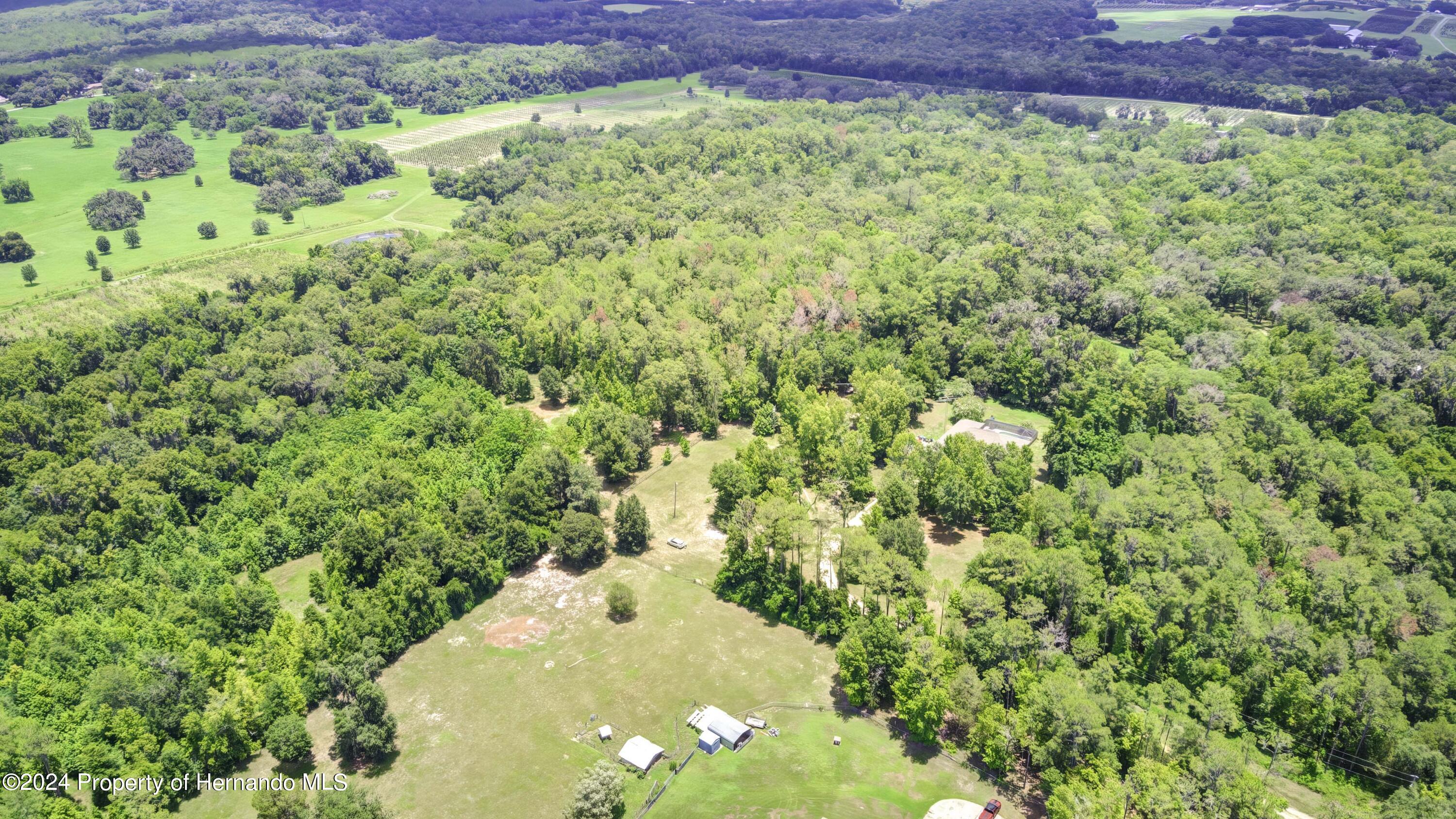 Science Drive, Brooksville, Florida image 8