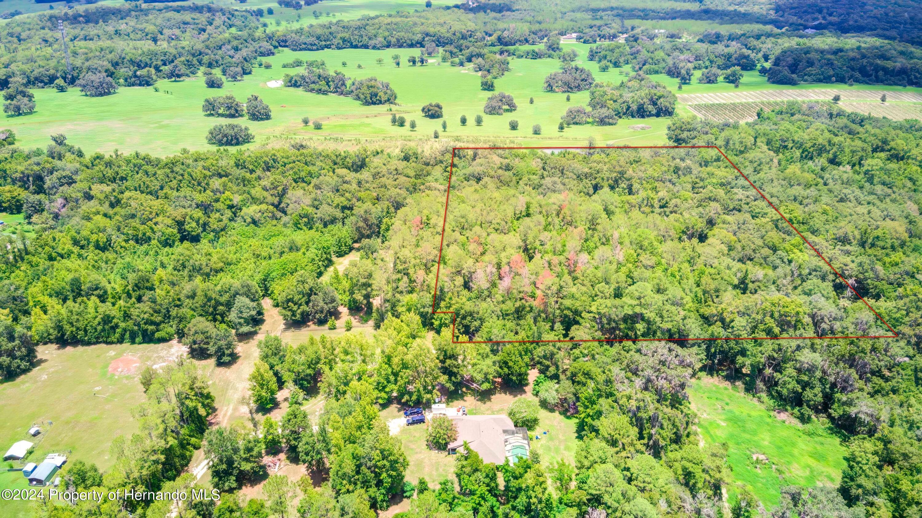 Science Drive, Brooksville, Florida image 9