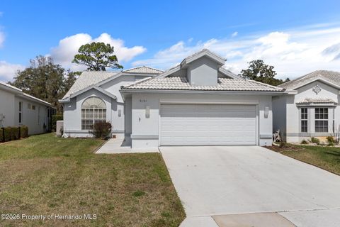 Homes For Sale - 9151 Rhett Lane<br/> Weeki Wachee, FL 34613