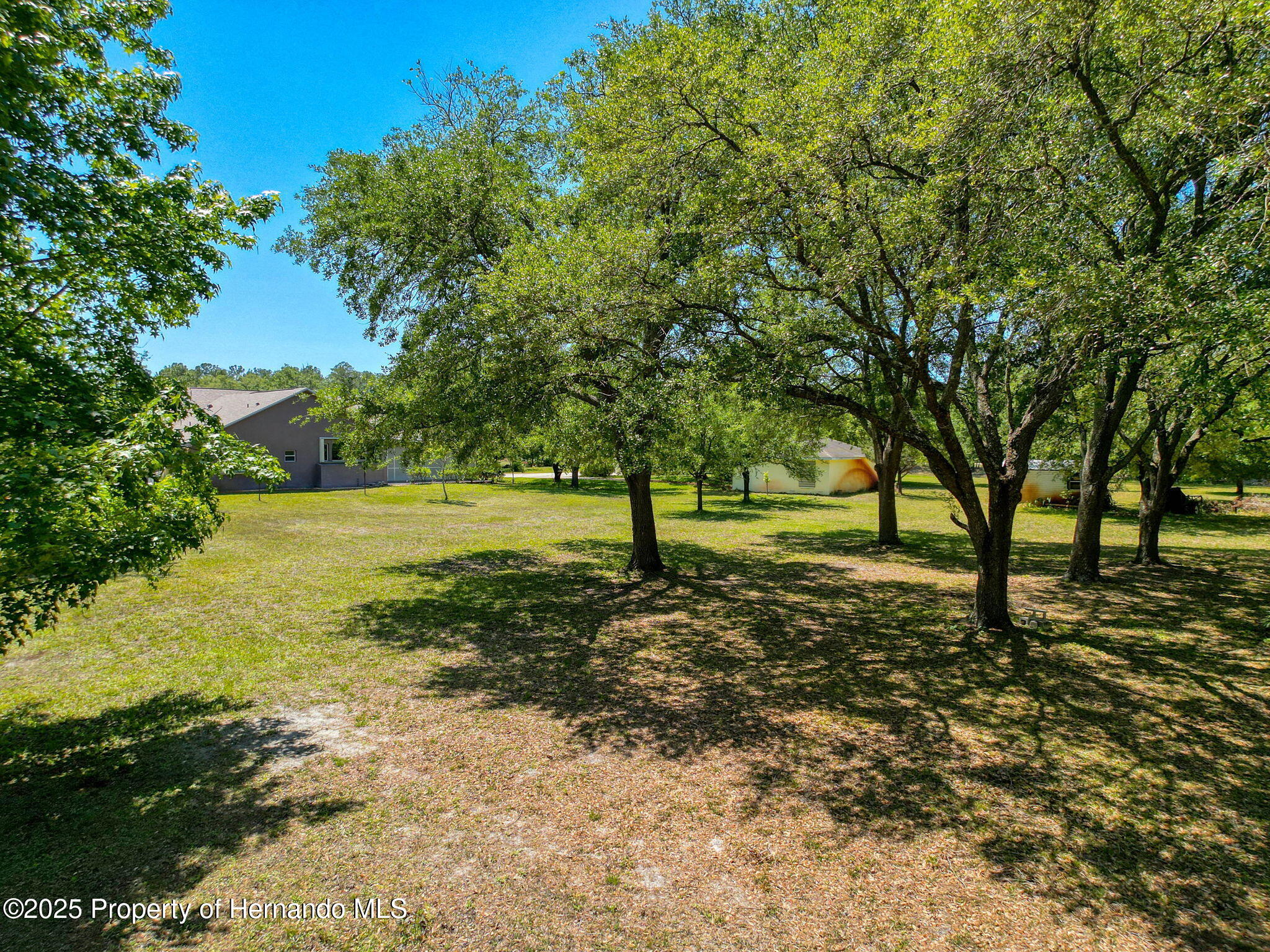 11053 Frigate Bird Avenue, Weeki Wachee, Florida image 42
