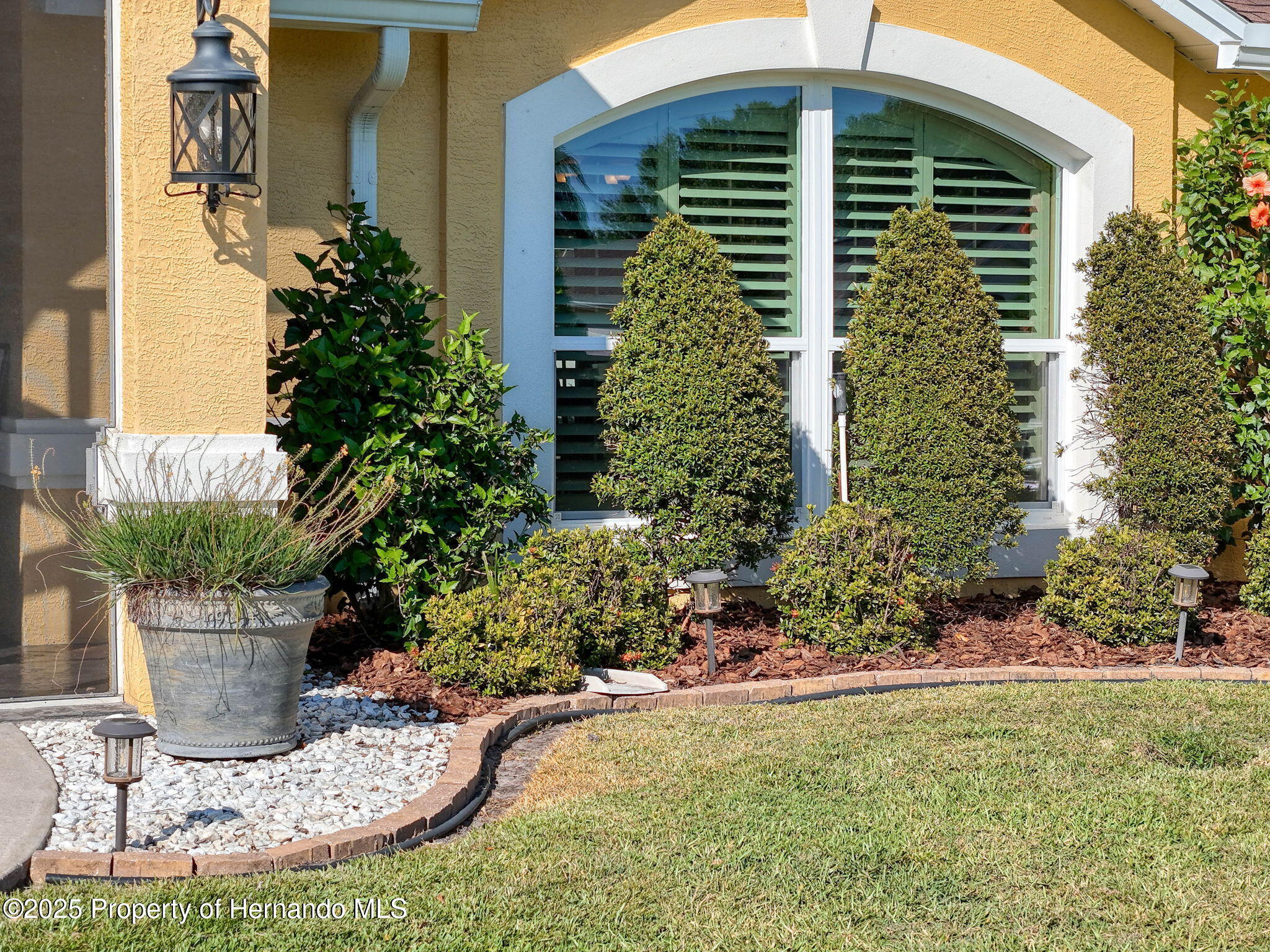 3920 Meadowlark Court, LAND O LAKES, Florida image 6