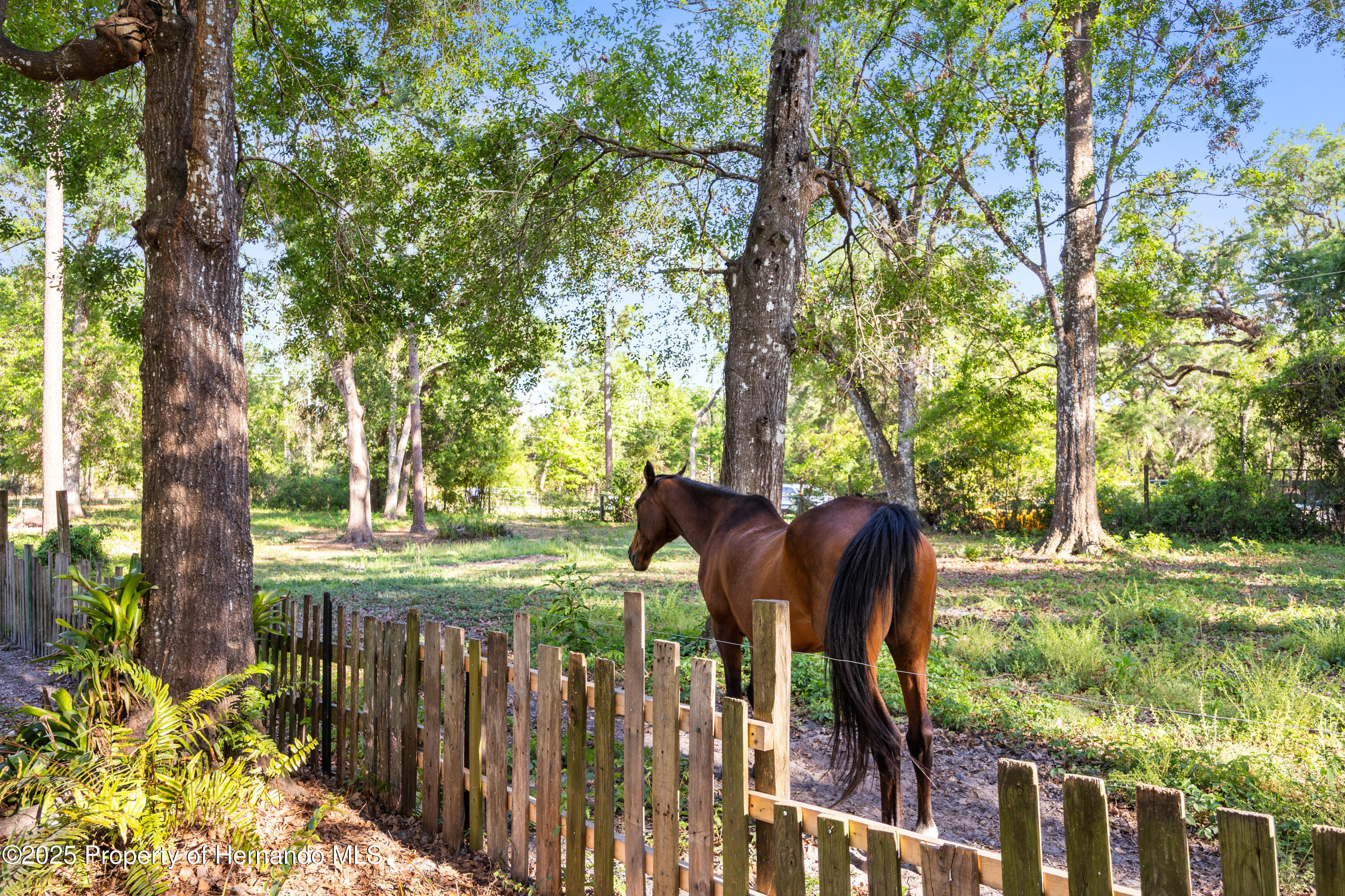 12218 SW 40th Street, Webster, Florida image 43