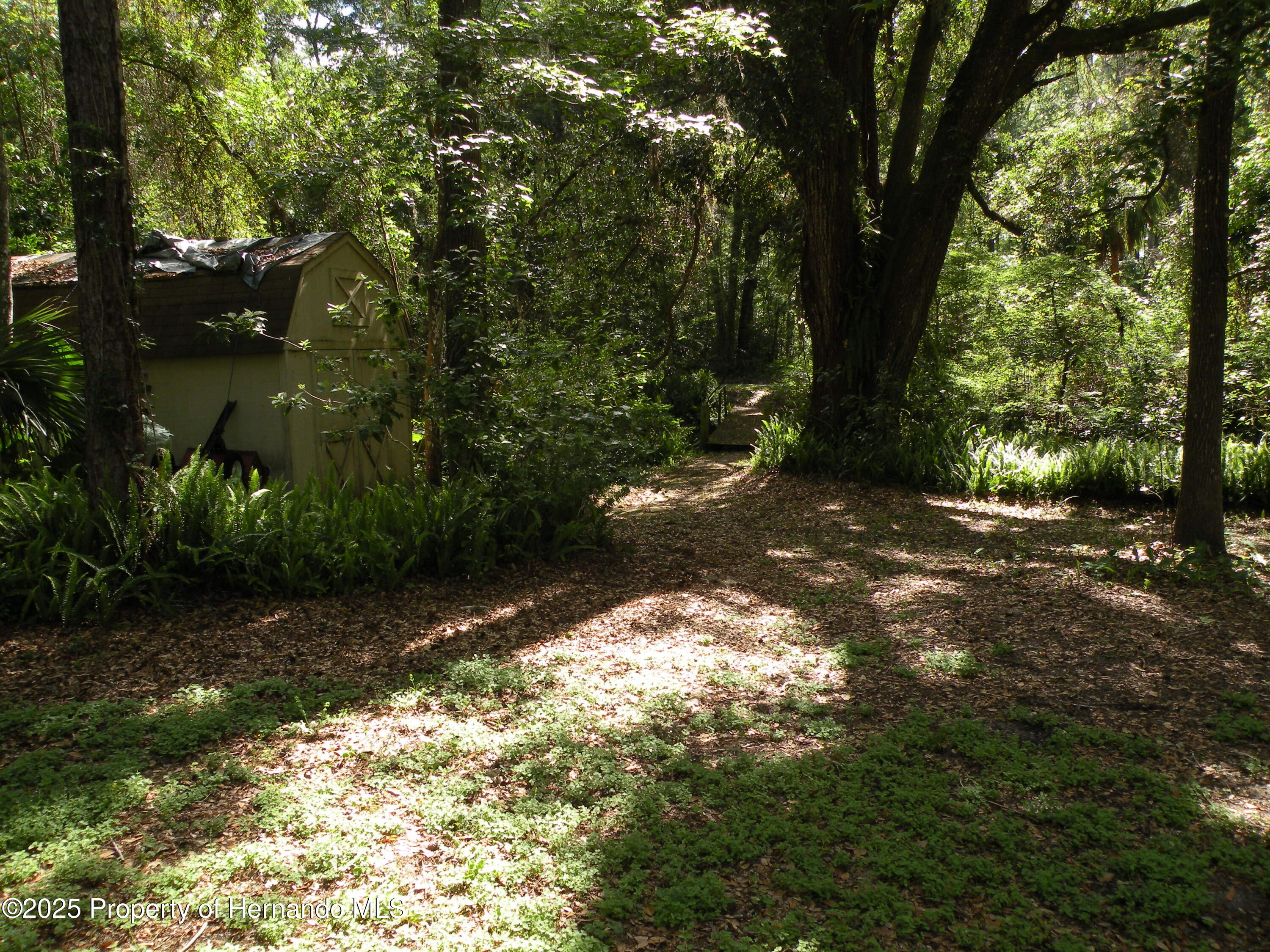 16142 Lingle Road, Brooksville, Florida image 27