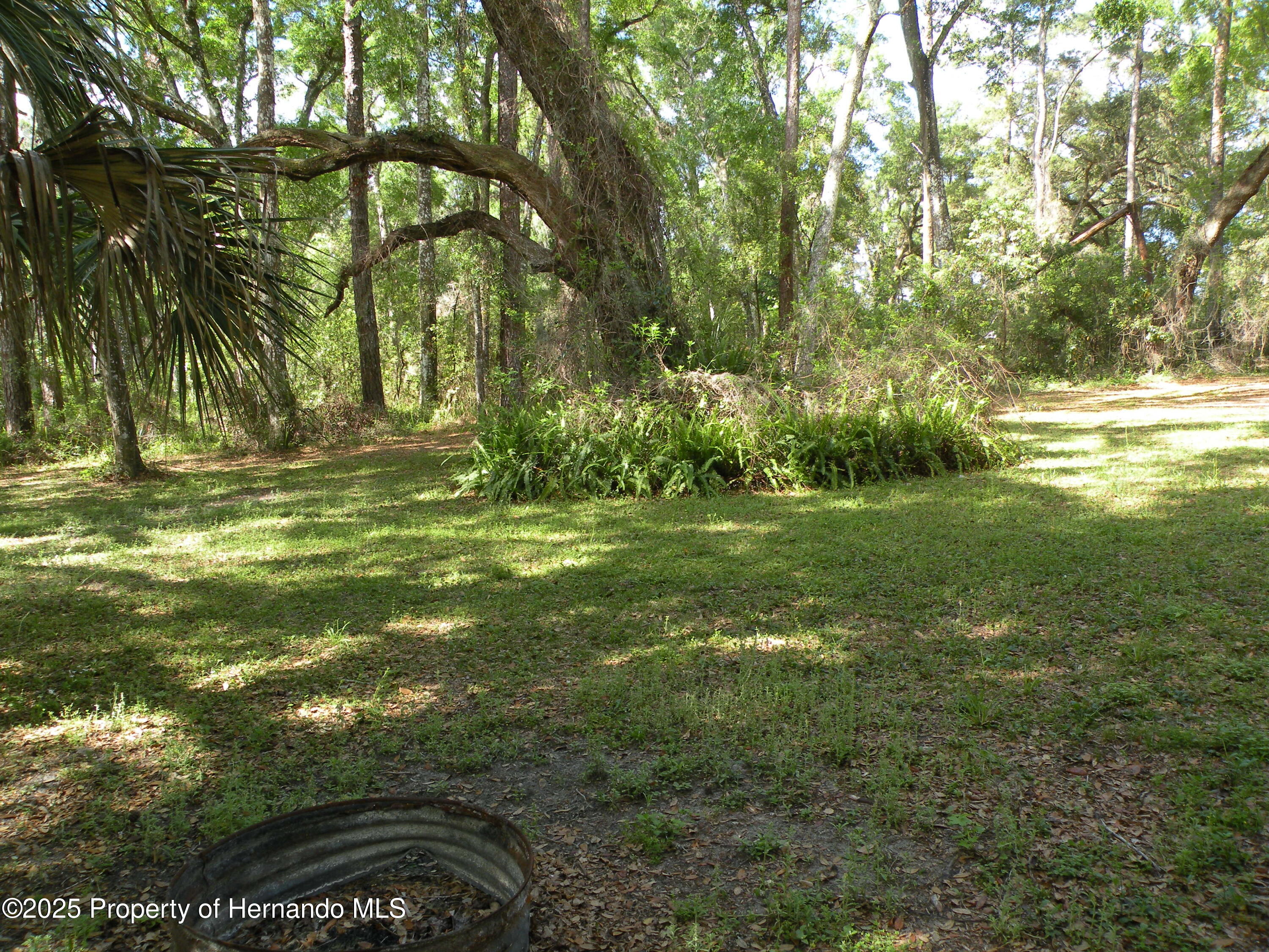 16142 Lingle Road, Brooksville, Florida image 28