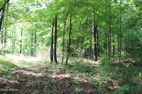 0 Hwy 87 Tract 1 Forsyth GA 31029
