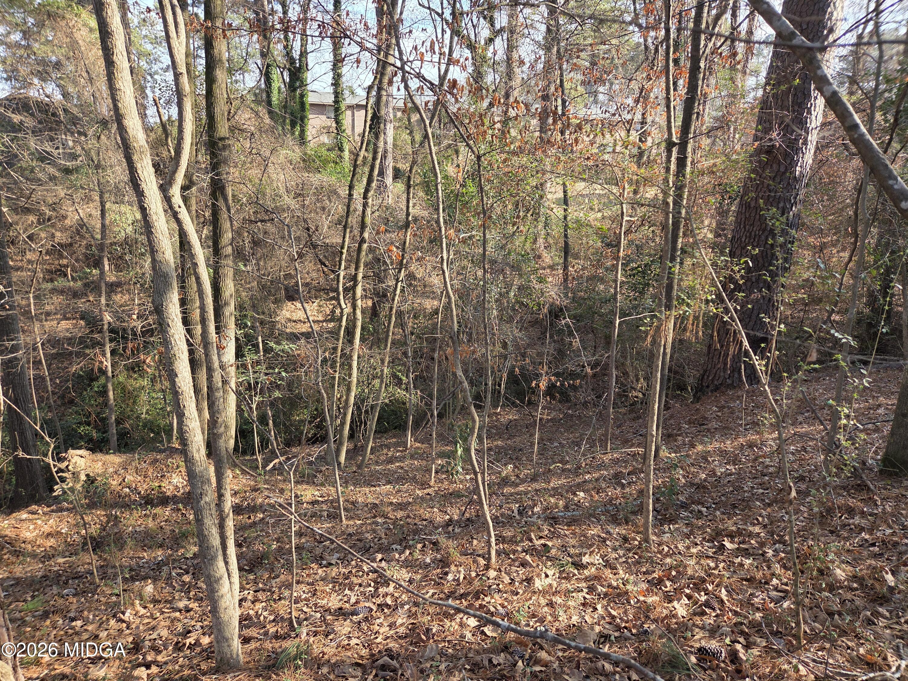 1971 Long Ridge Drive