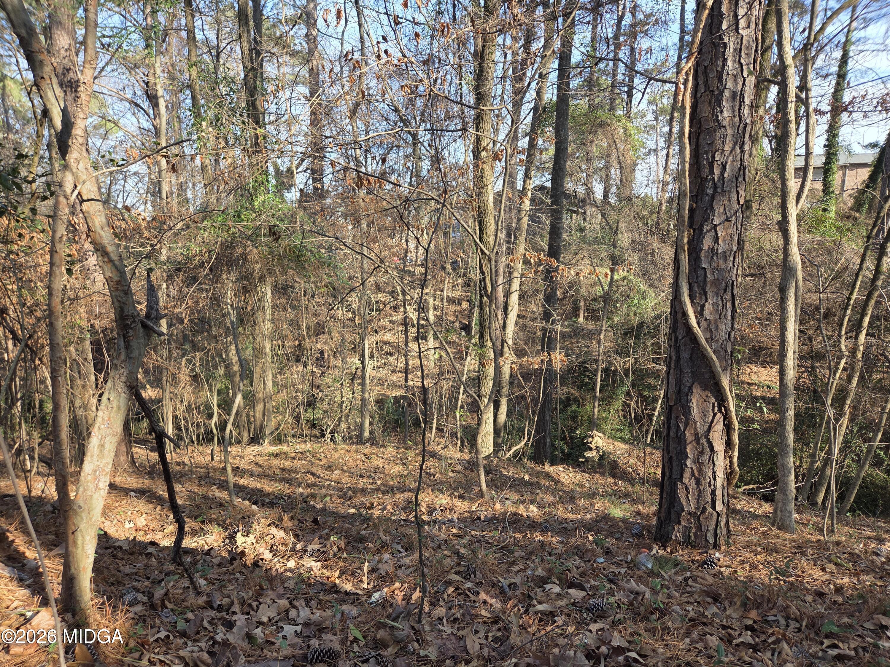 1971 Long Ridge Drive