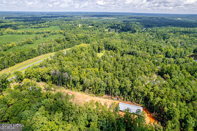 0 Braswell Lake Road