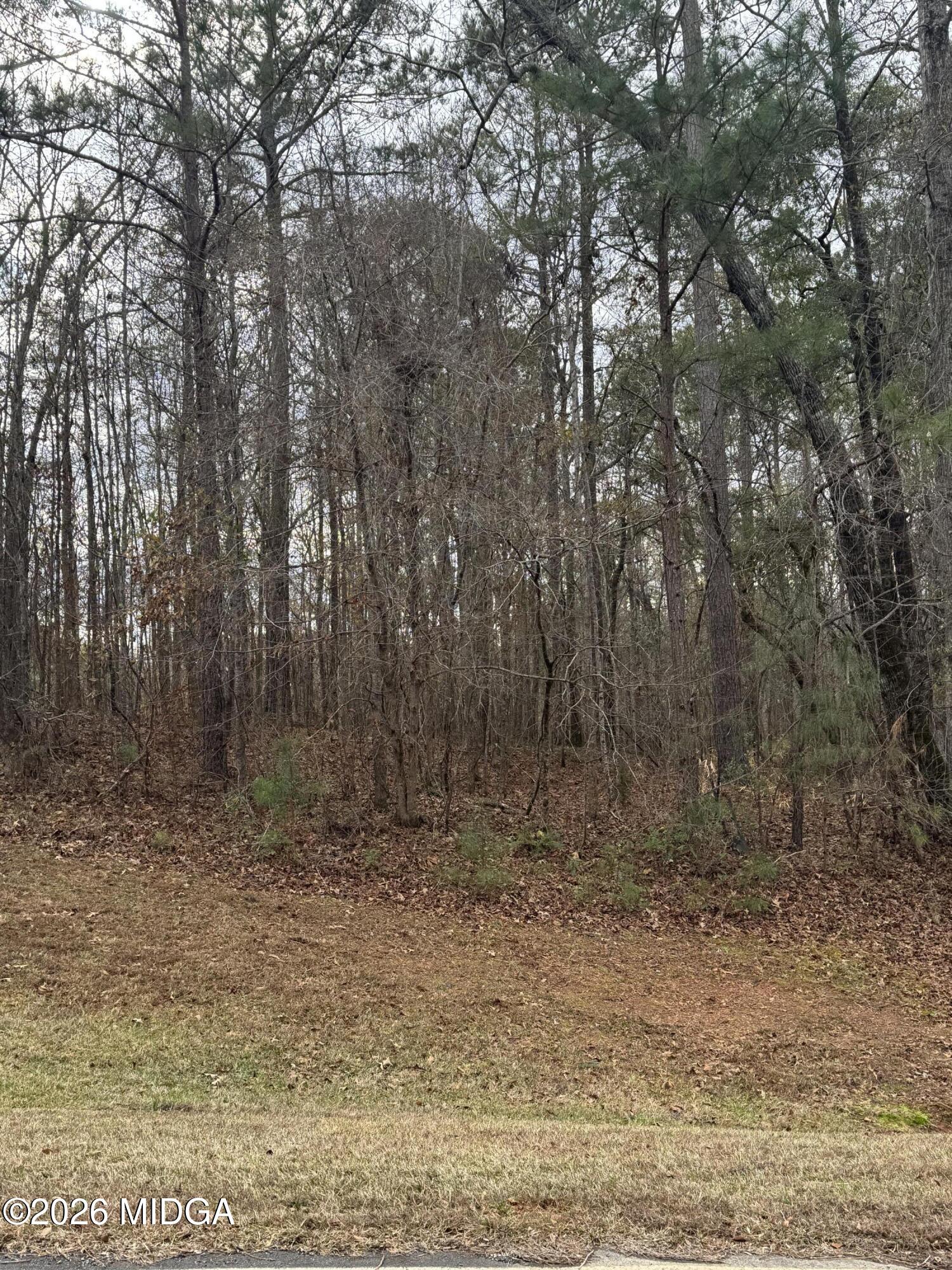 207 Forest Pointe Drive