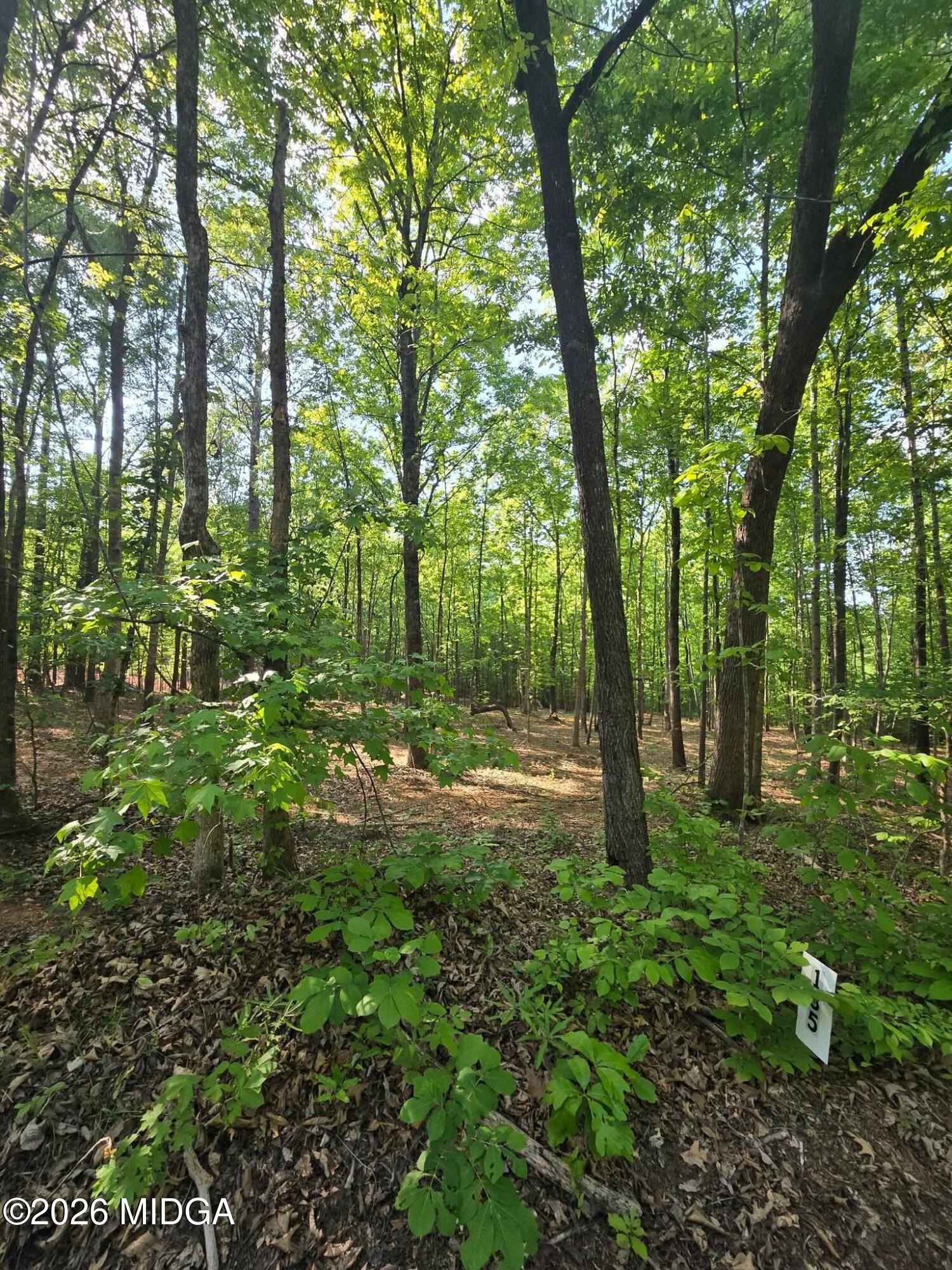135 Lakeshore Drive SW