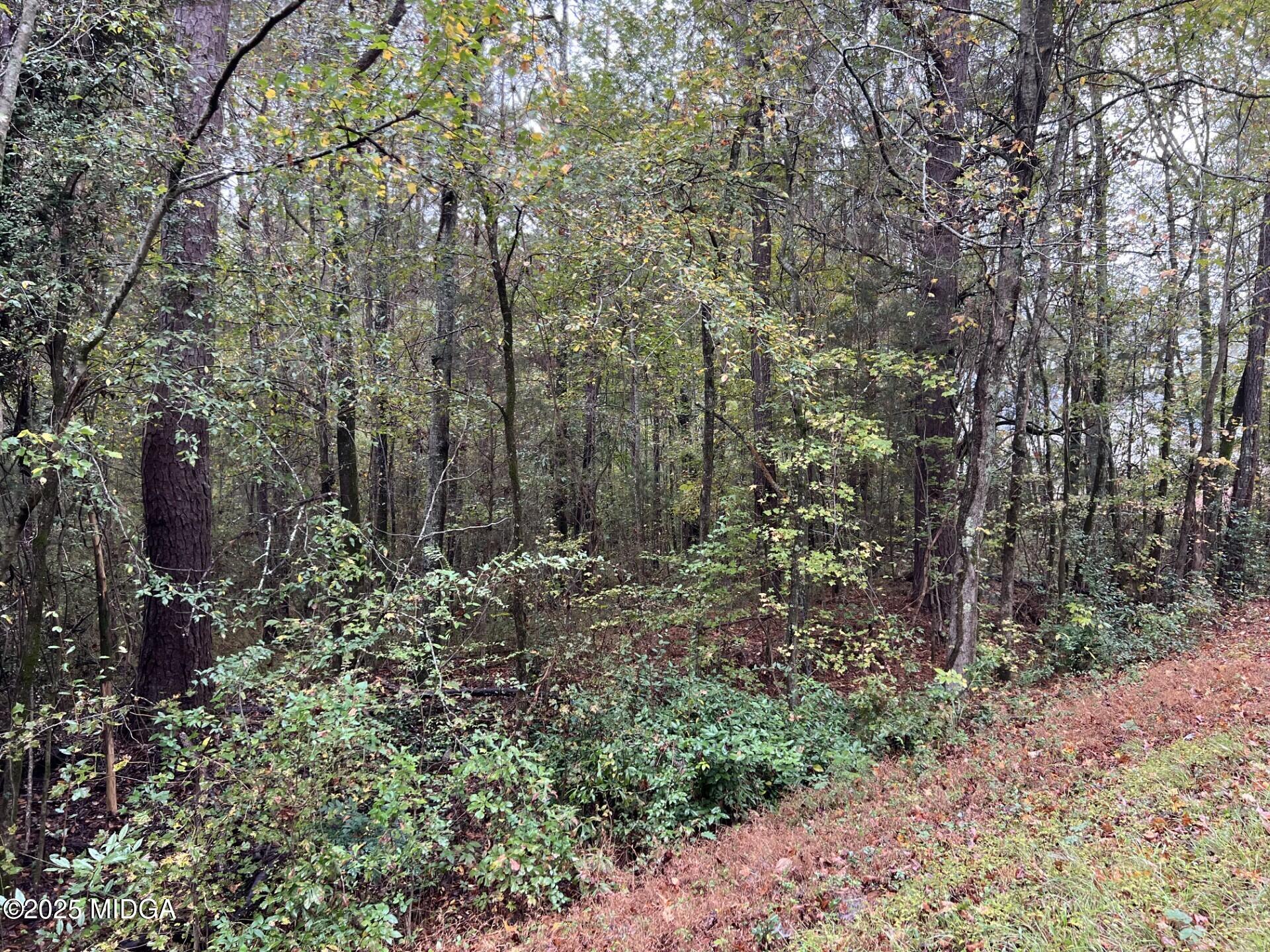 266 Clinton Crossing Drive