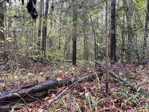 266 Clinton Crossing Drive Gray GA 31032