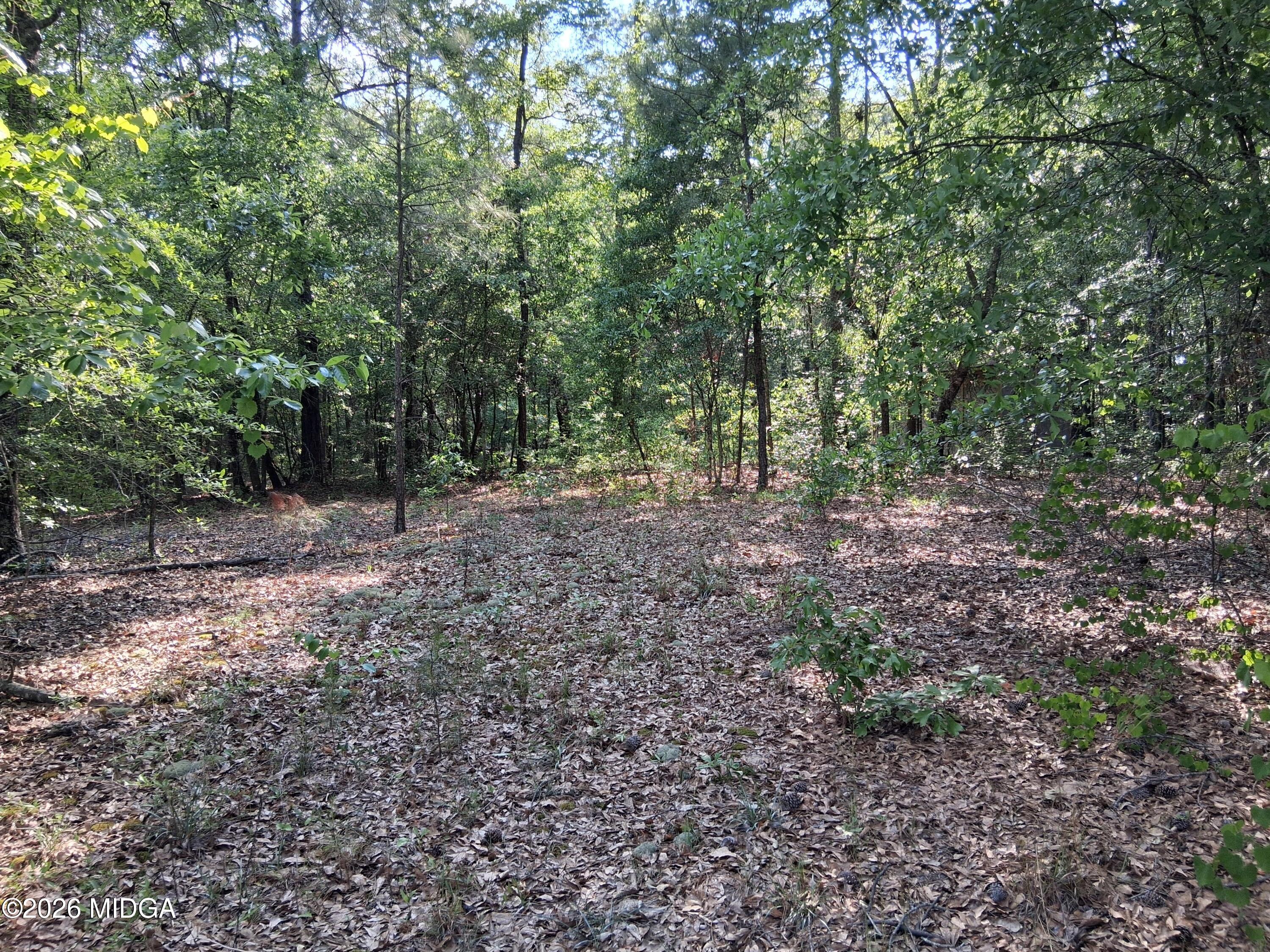 6361 Britt Road
